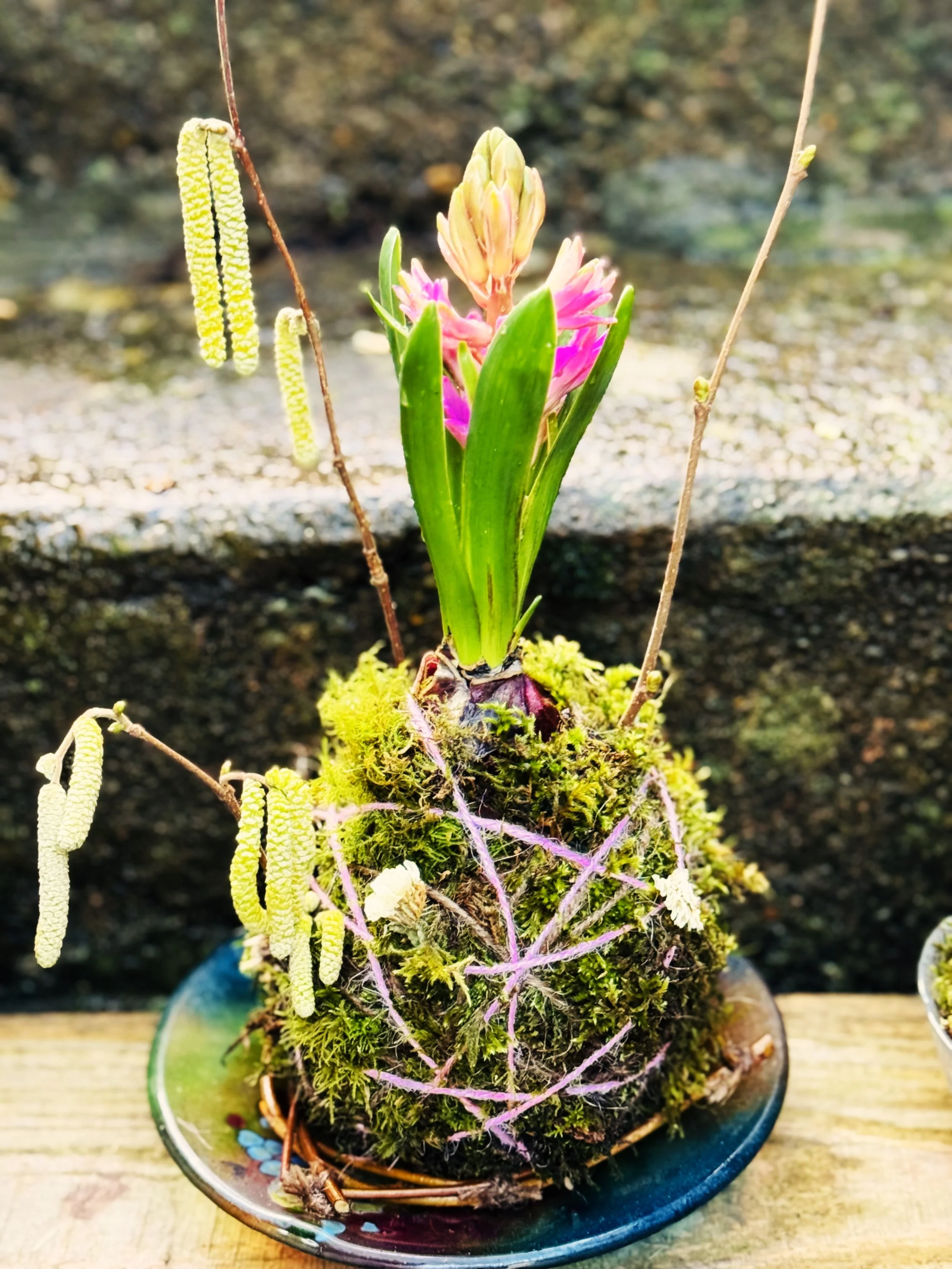 Spring Bulb Kokedama Workshop