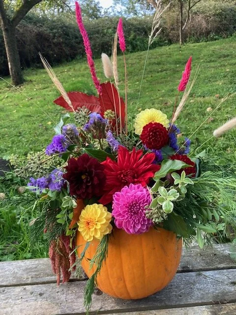 pumpkin  - Copy.jpg