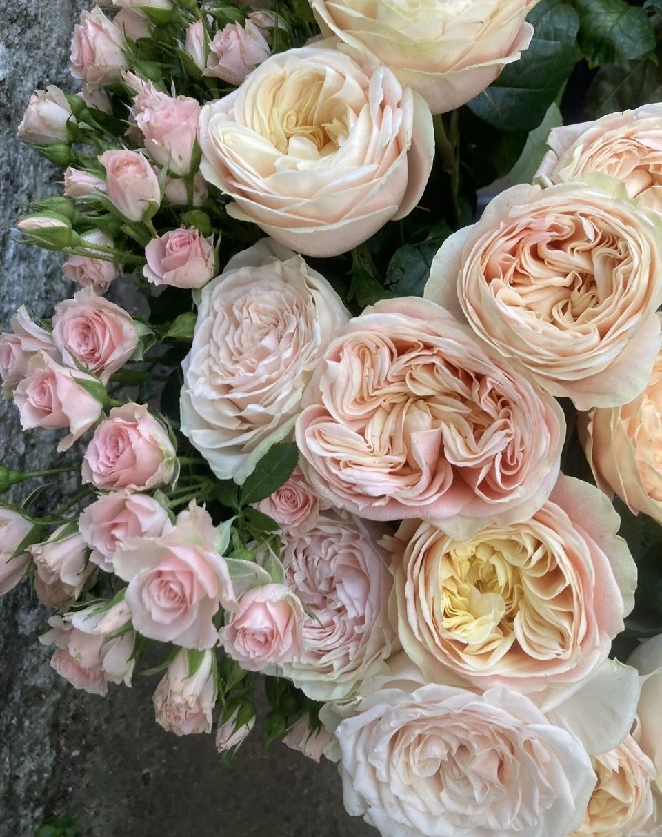 A bouquet of pale pink and cream roses and ranunculus flowers.