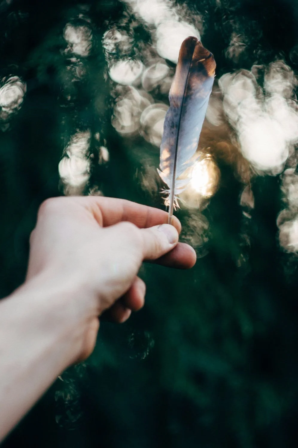 Hand holding a feather in soft evening light