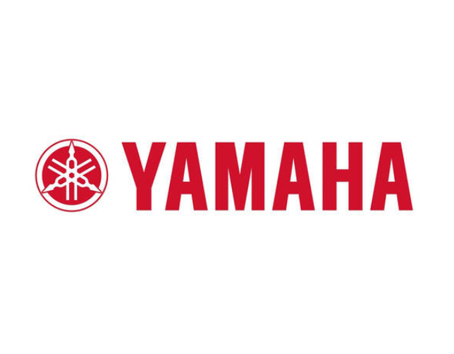 Wij doen onderhoud voor buitenboordmotoren van Yamaha..png