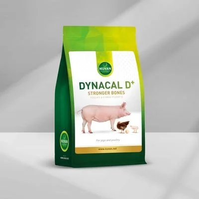 Dynacal D+.jpg