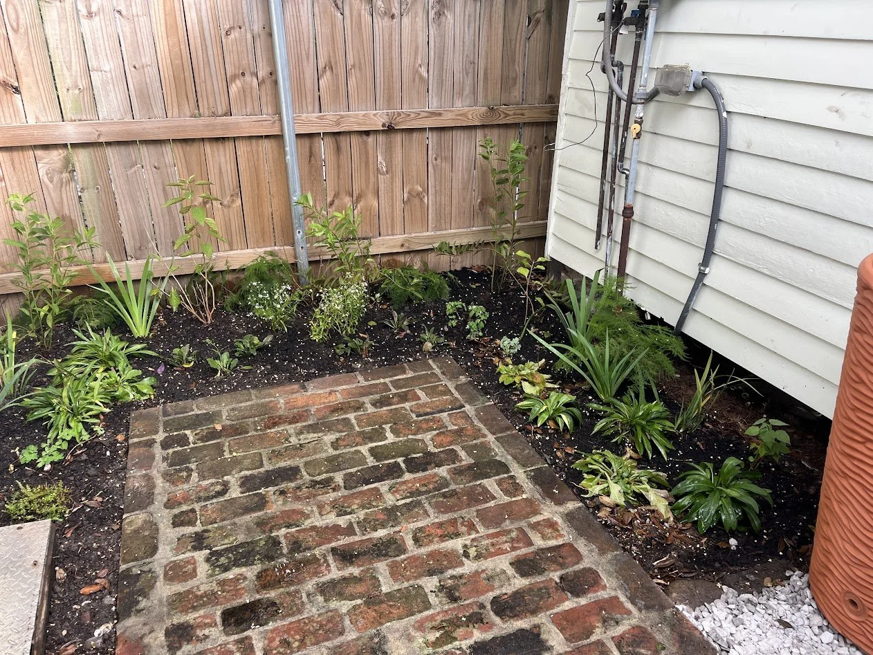 Whimscapes Patioscape.JPG