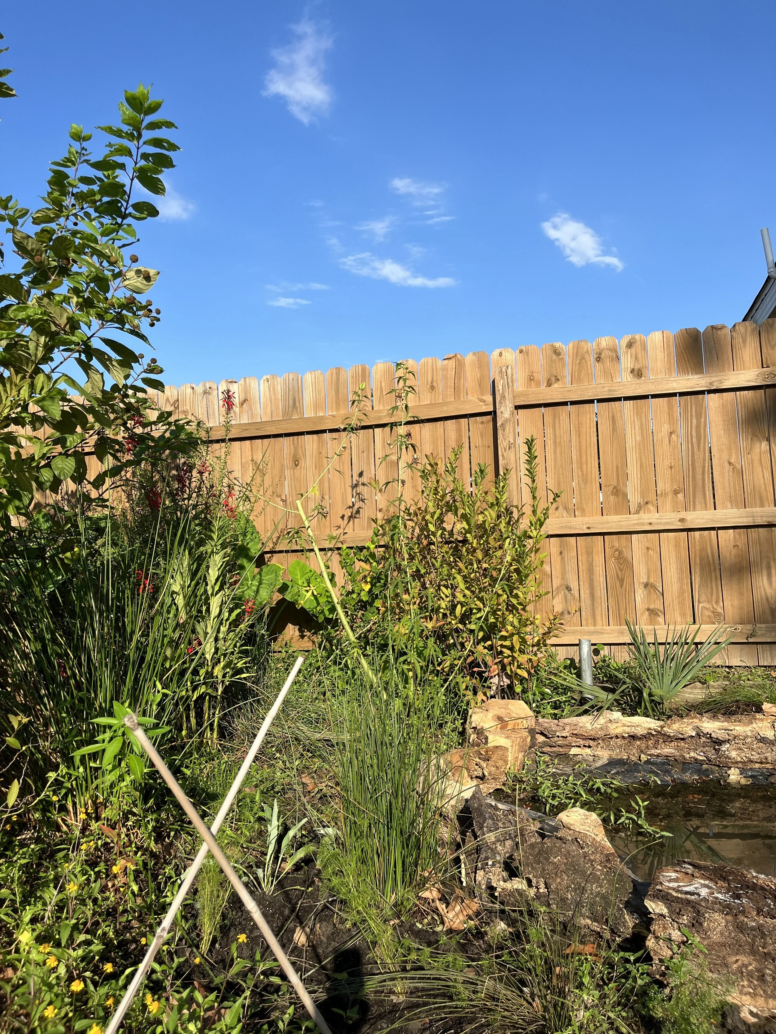 Whimscapes Pond 2.JPG