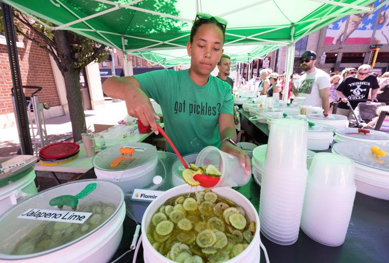 Pickle Festival 2025 themed image