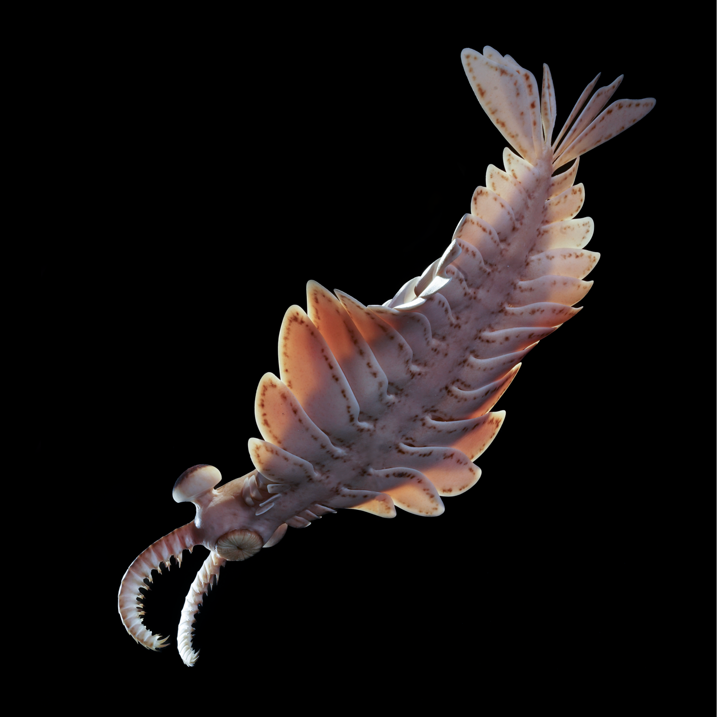 DSC08556.png