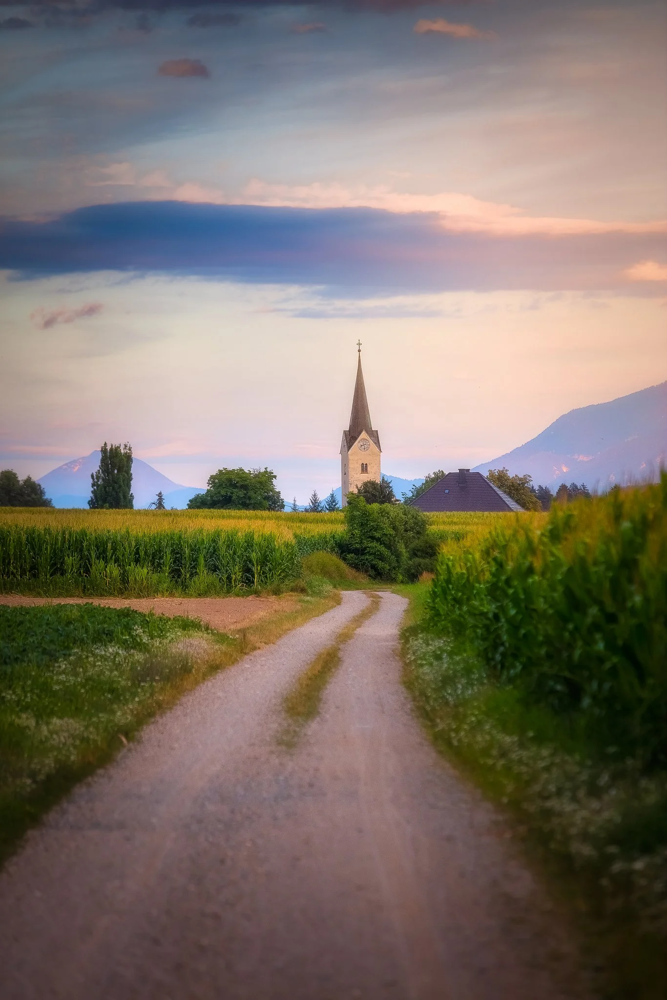 _F8A8548-Edit copy.jpg