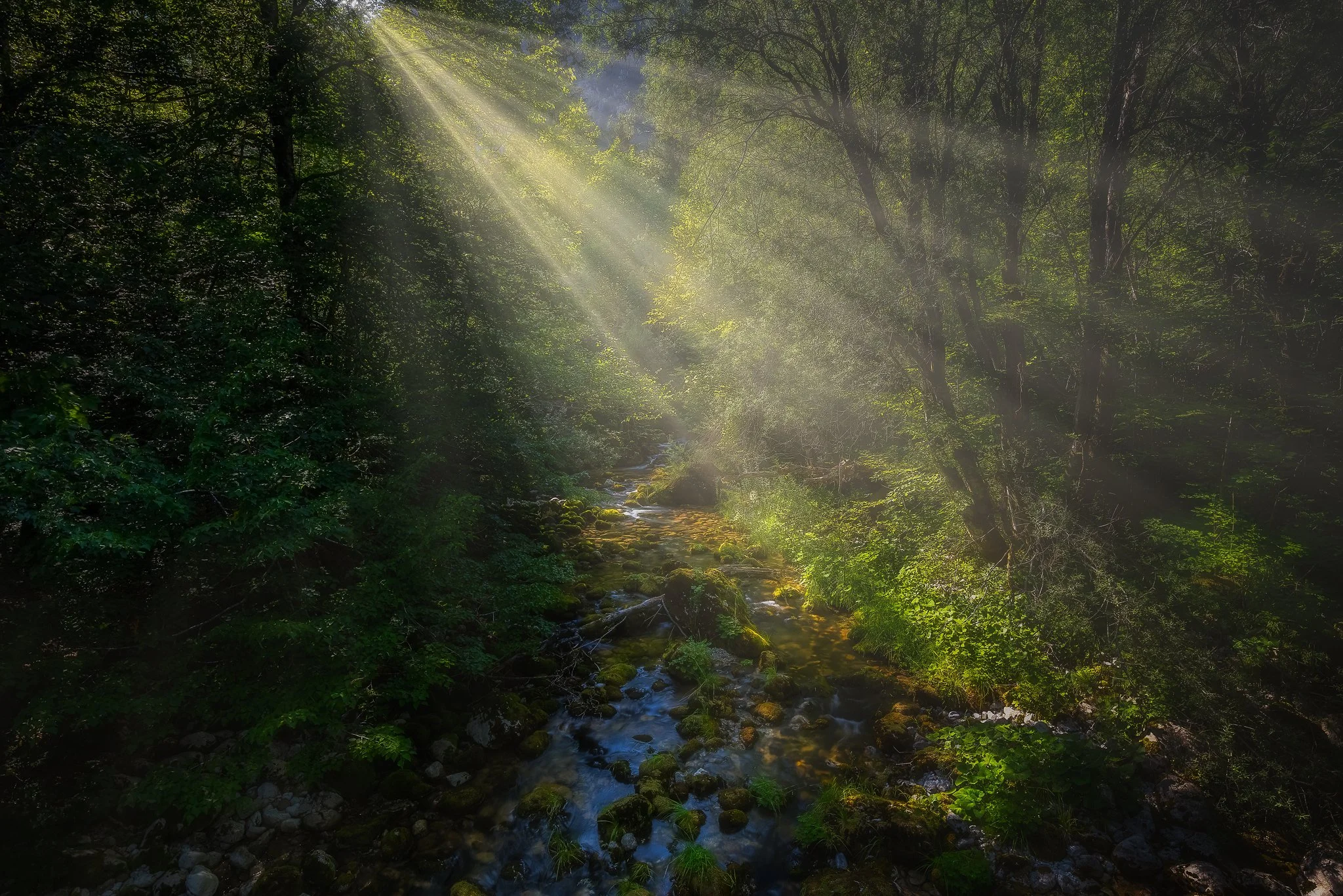 _F8A8977-Edit copy.jpg