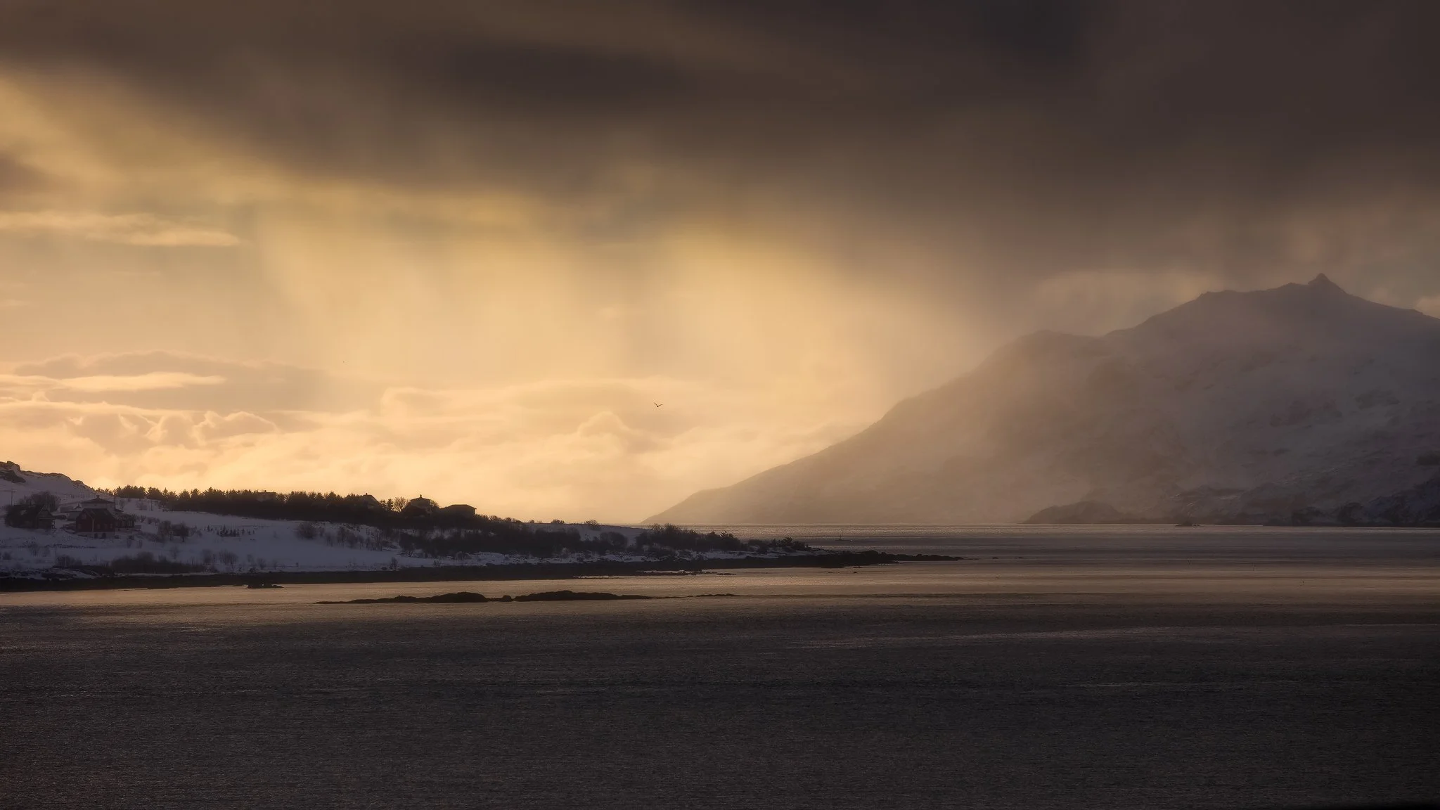 _F8A7909-Edit - Copy.jpg