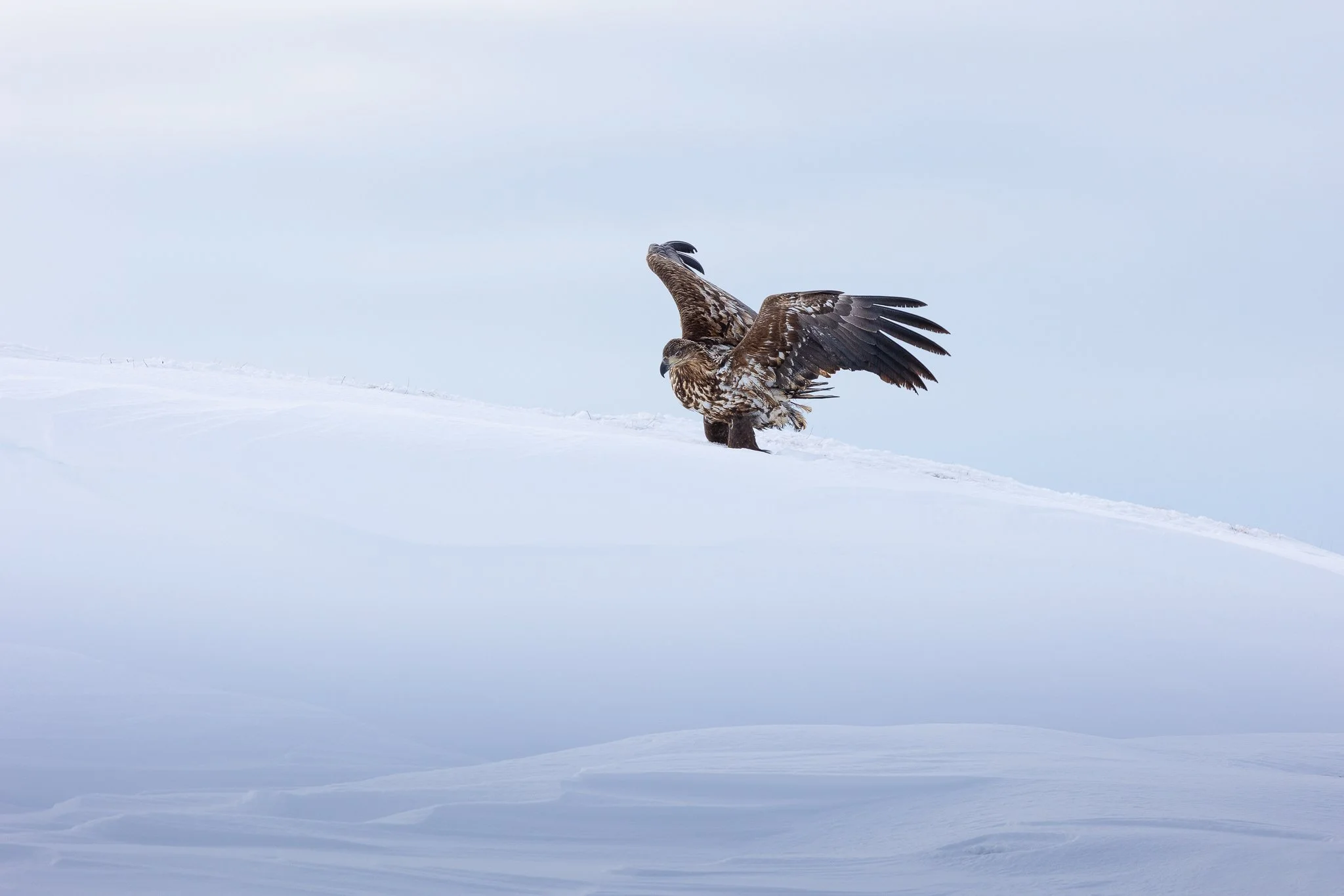 _U5A4833-Edit copy.jpg