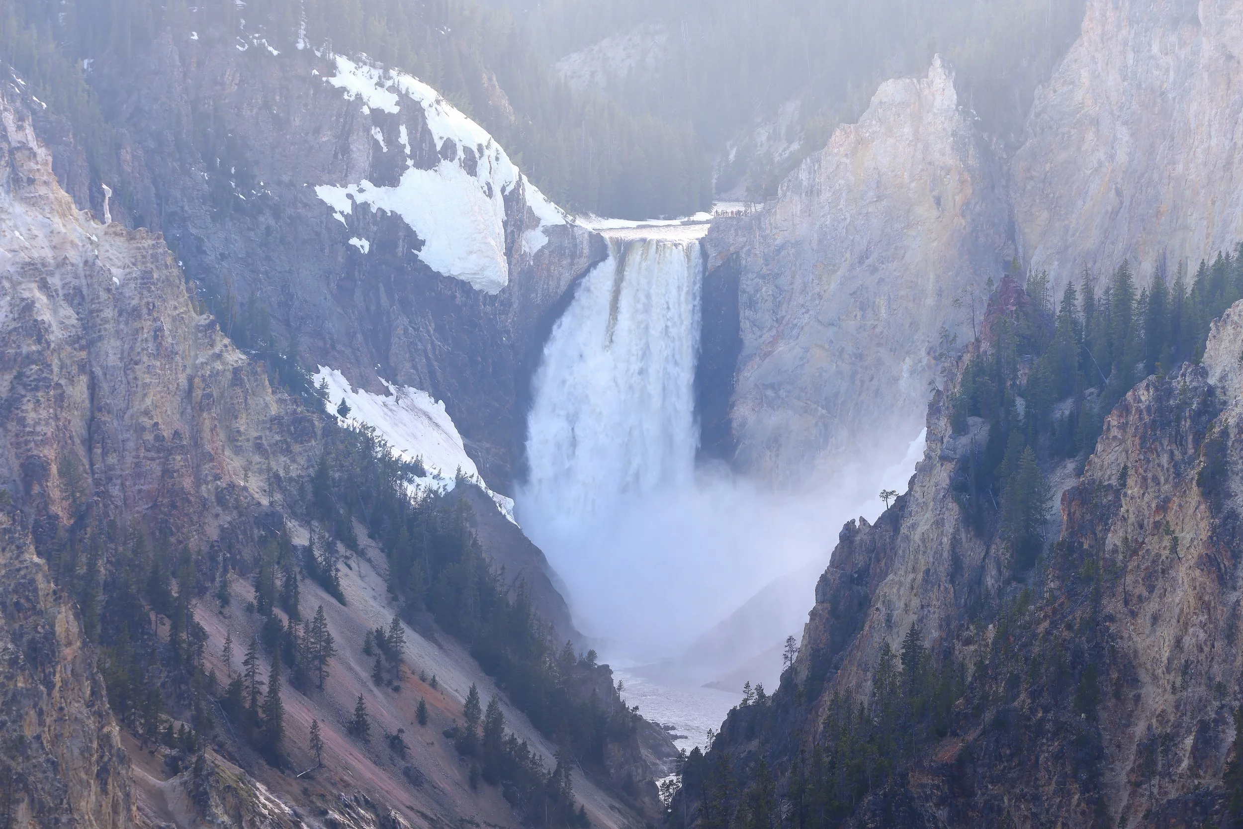 Canyon of Yellowstone