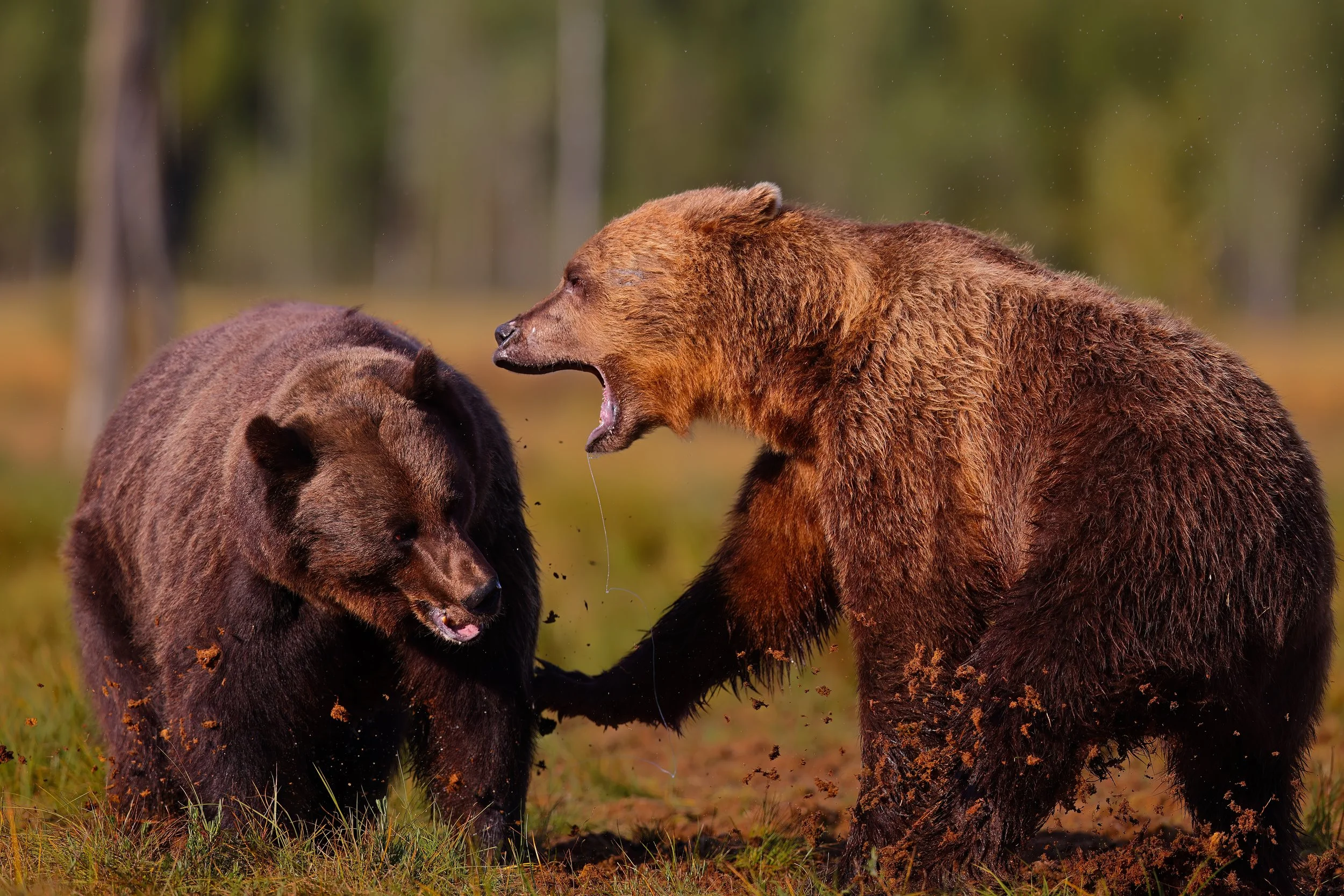 I gave you a warning