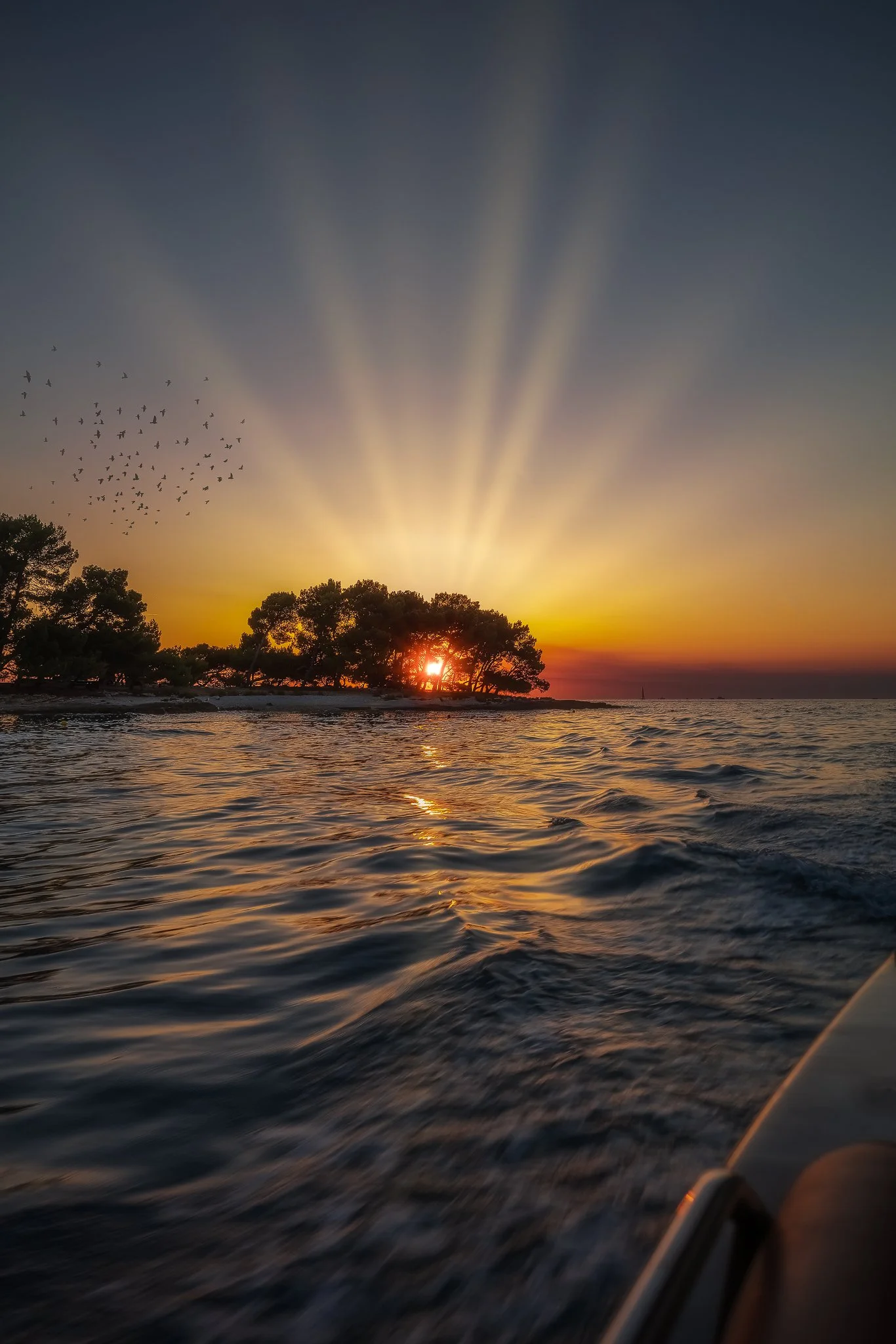 _F8A8888-Edit copy.jpg