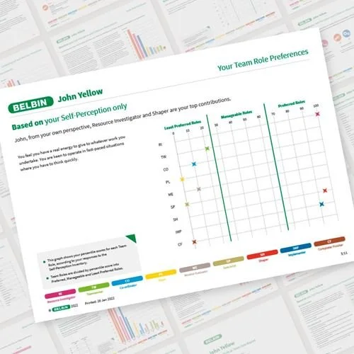 9 Teamrollen — Belbin Deutschland