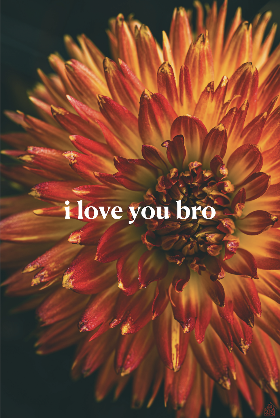 Screenshot 2026-01-15 at 3.45.43 PM.png