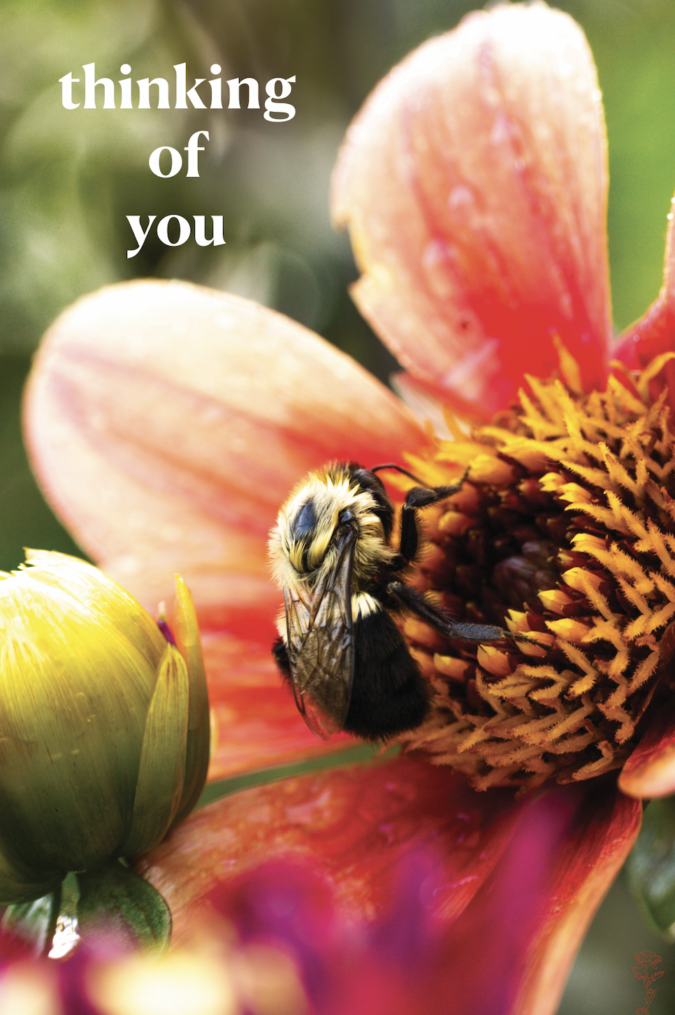 Screenshot 2026-01-15 at 3.45.12 PM.png