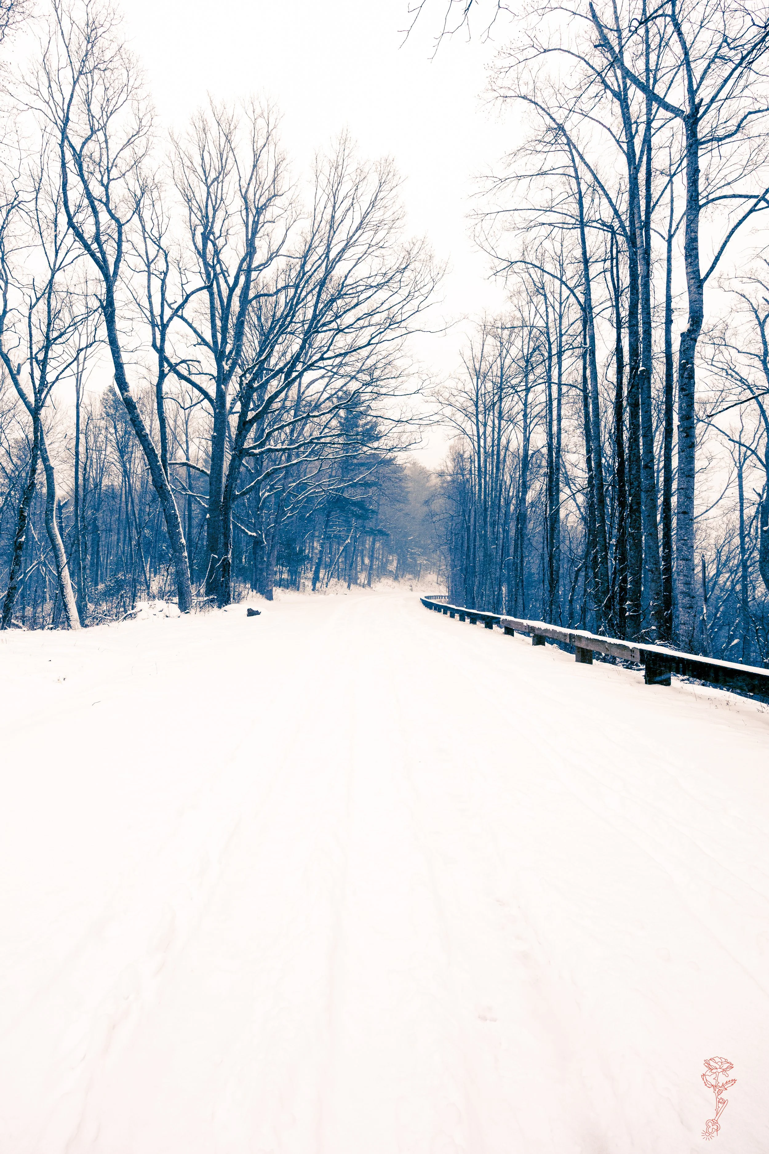 Blue Ridge Parkway Winter Moment