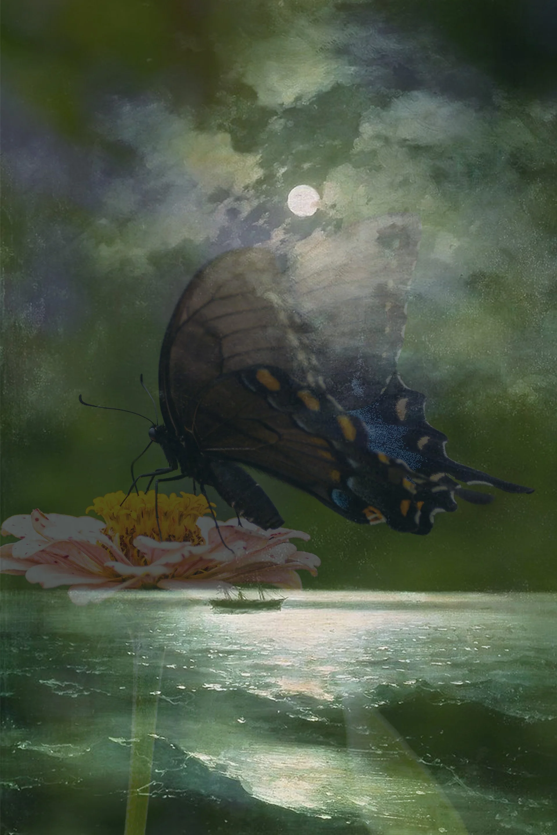 Butterfly Night at Sea.jpg