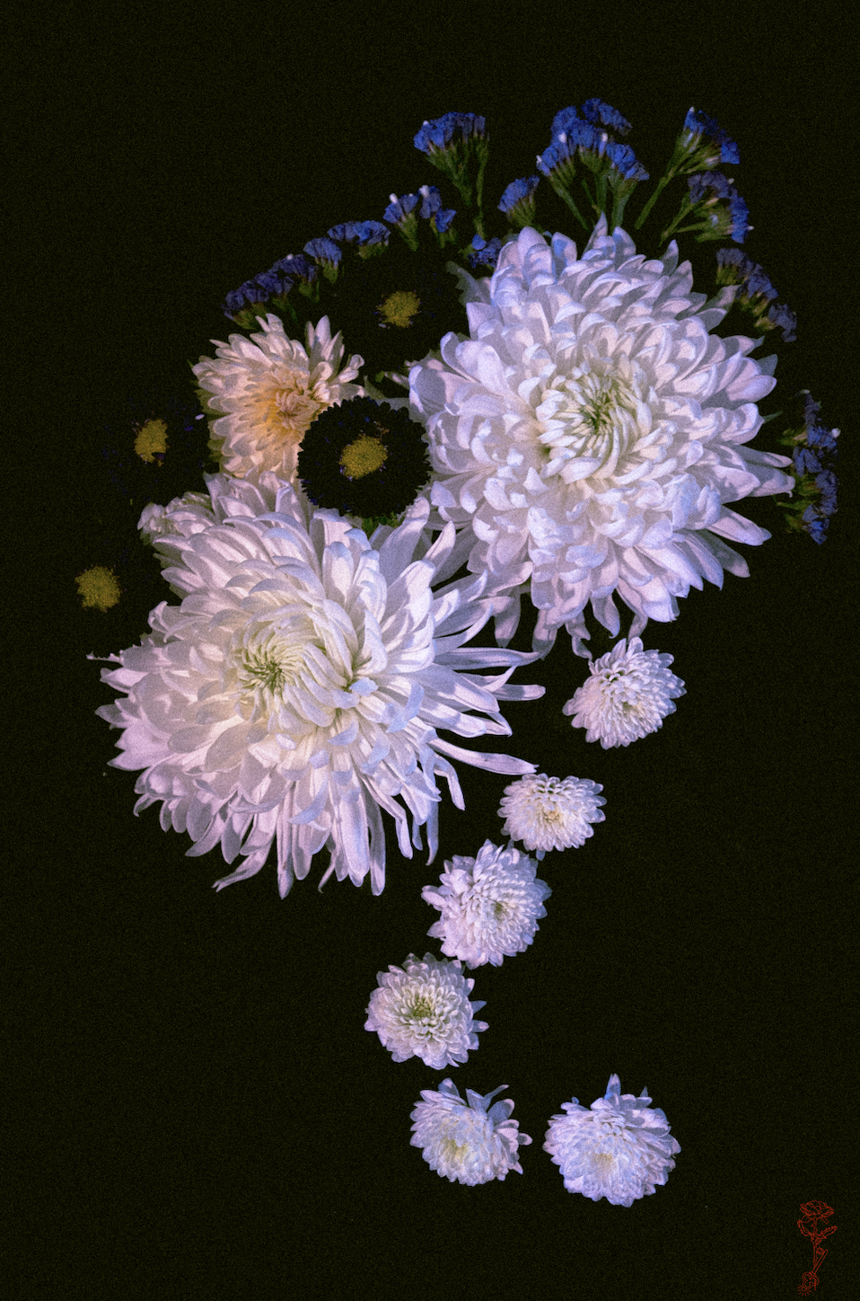 Dreamy Floral Hook (Canvas Print)