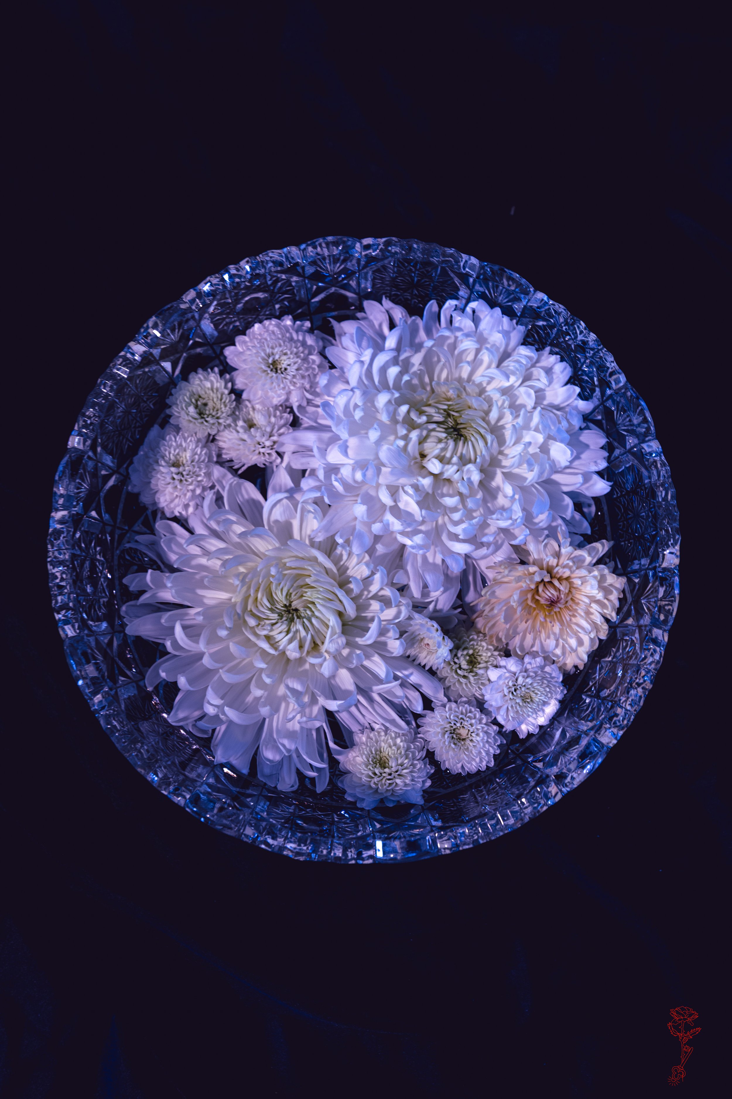 Crystal Floral Dream.jpg