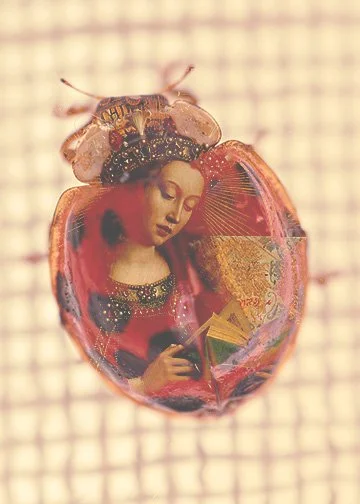 lady bug mary.jpg
