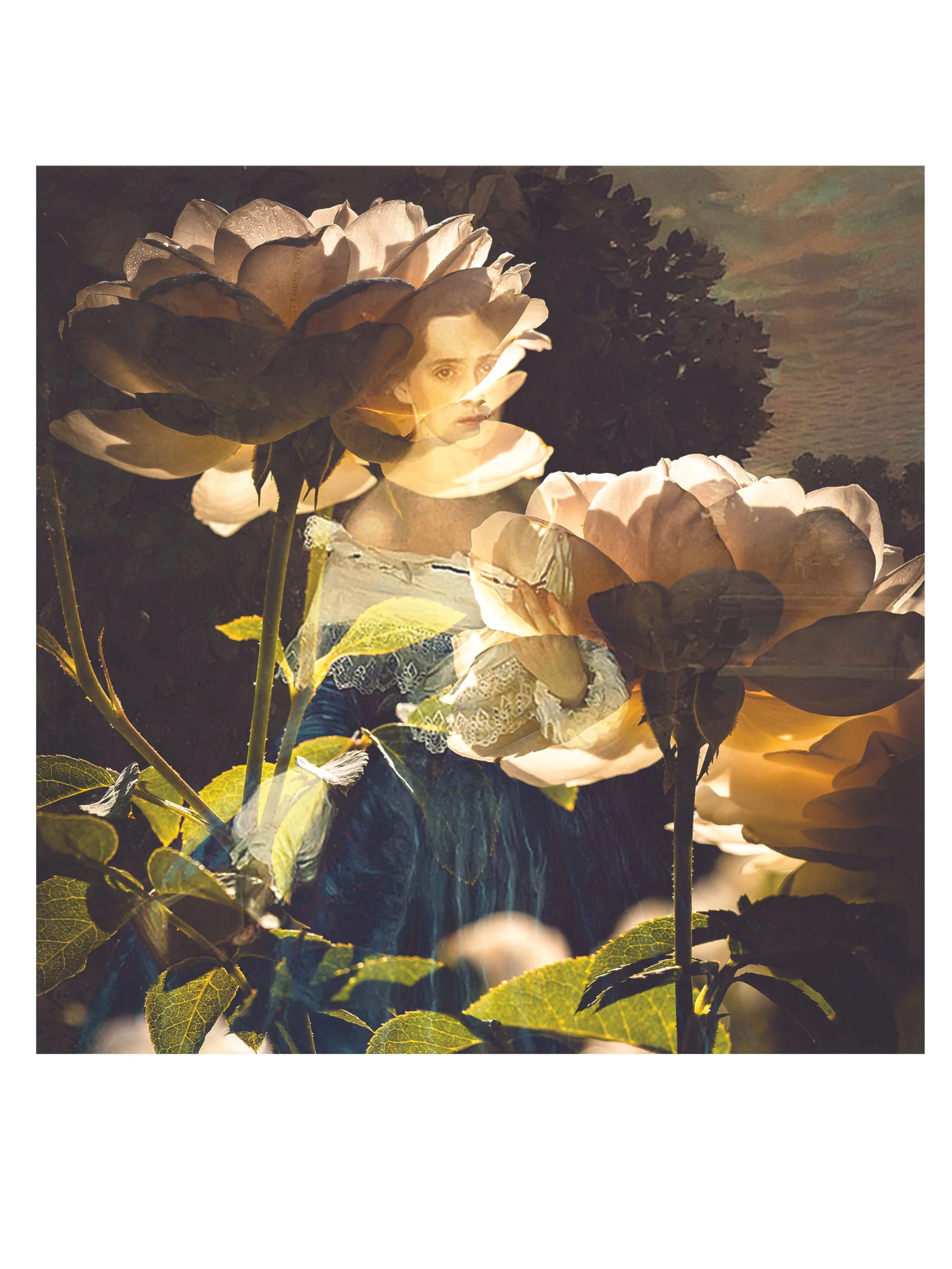 Untitled-5.jpg