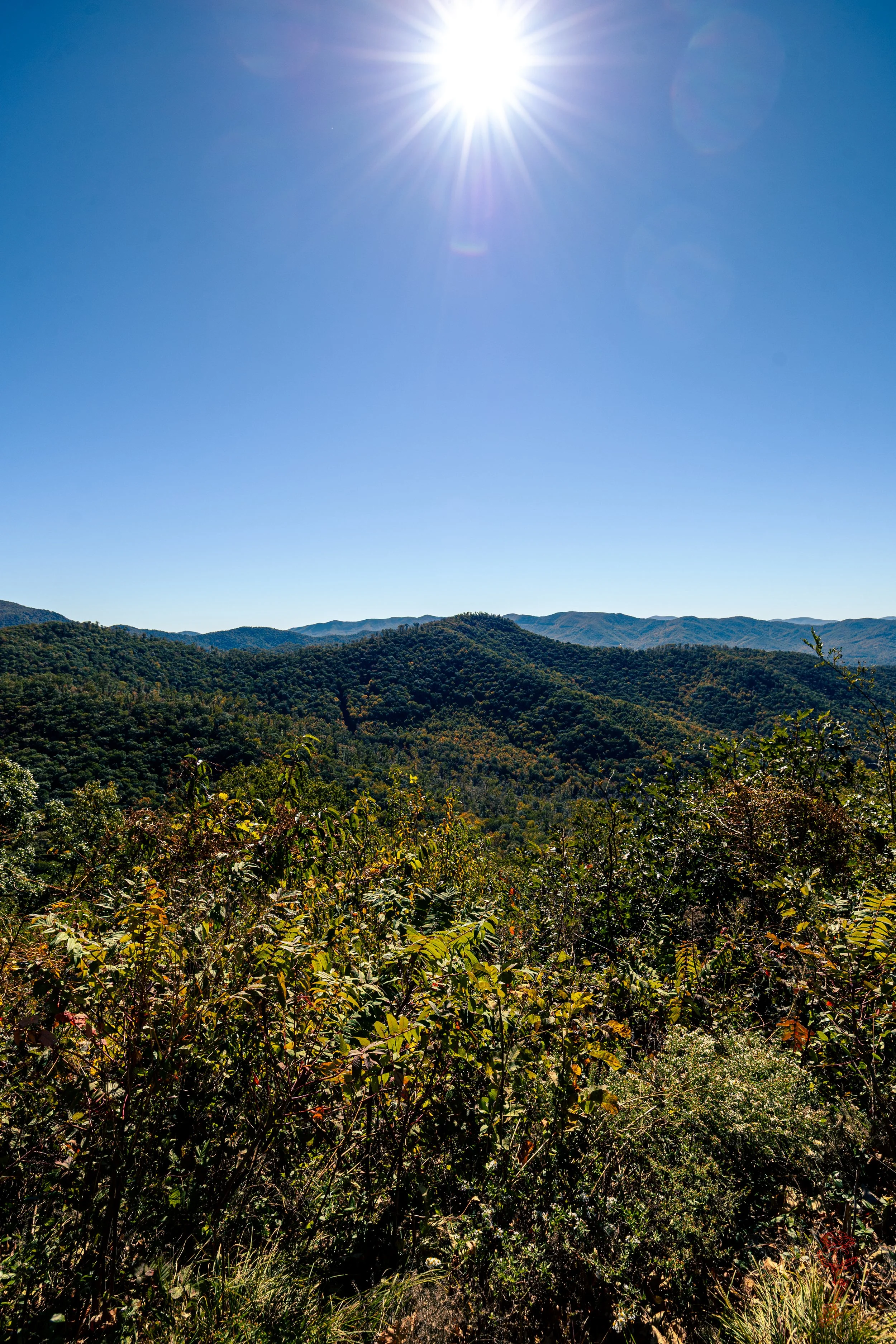 IMG_9103.jpg