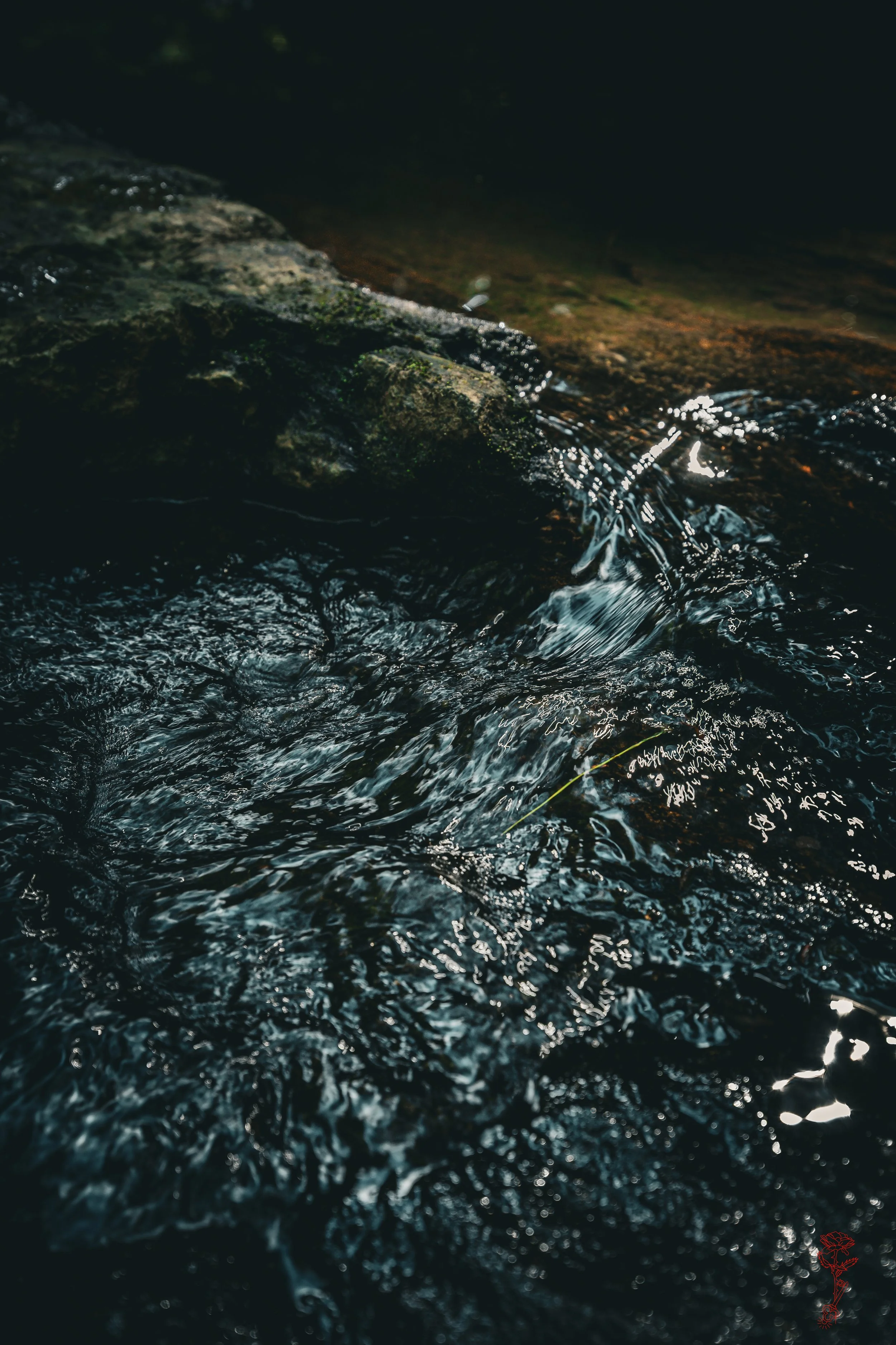 Dream Away Creek Moment.jpg