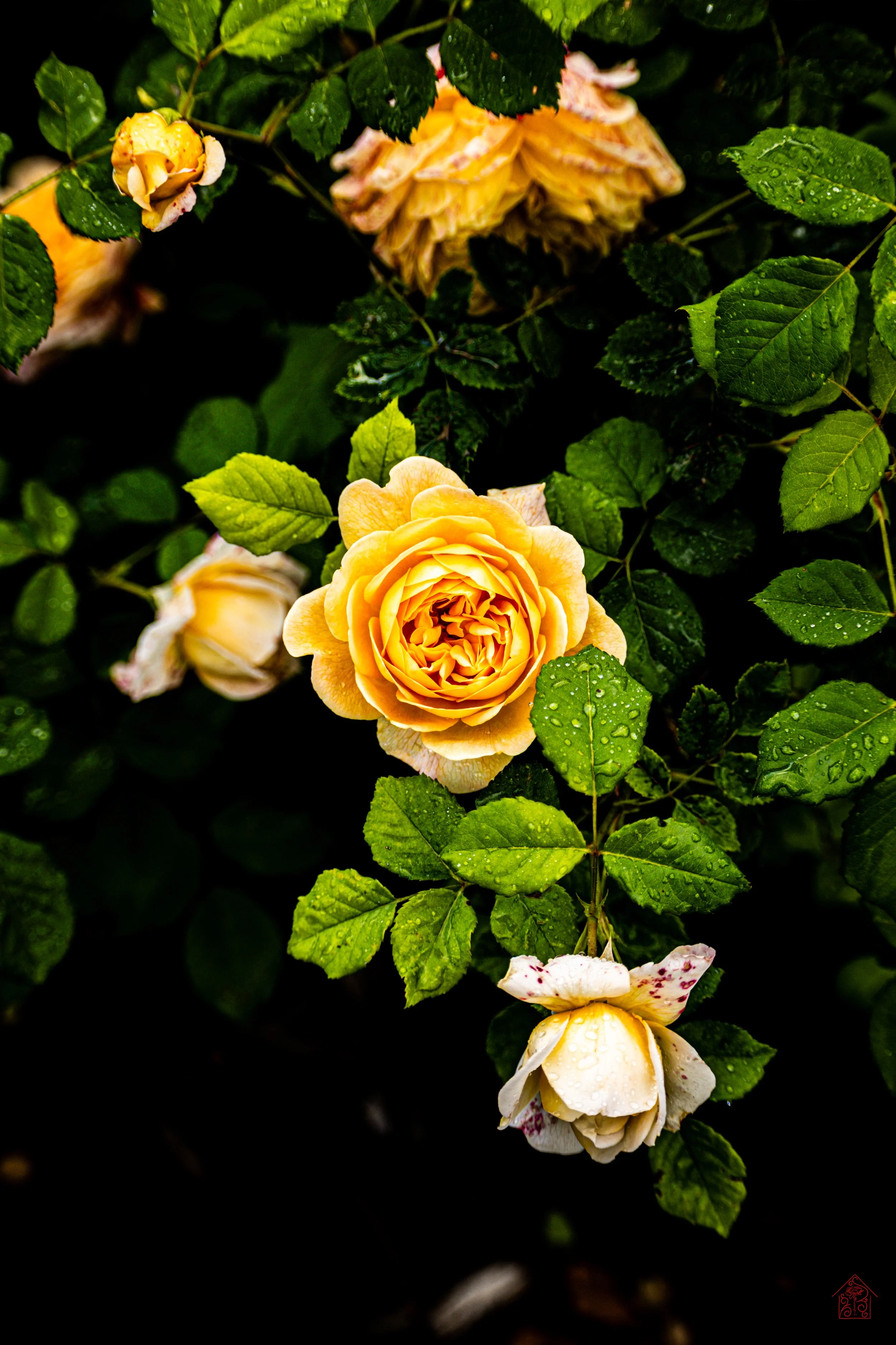 from son.daughter.jpg