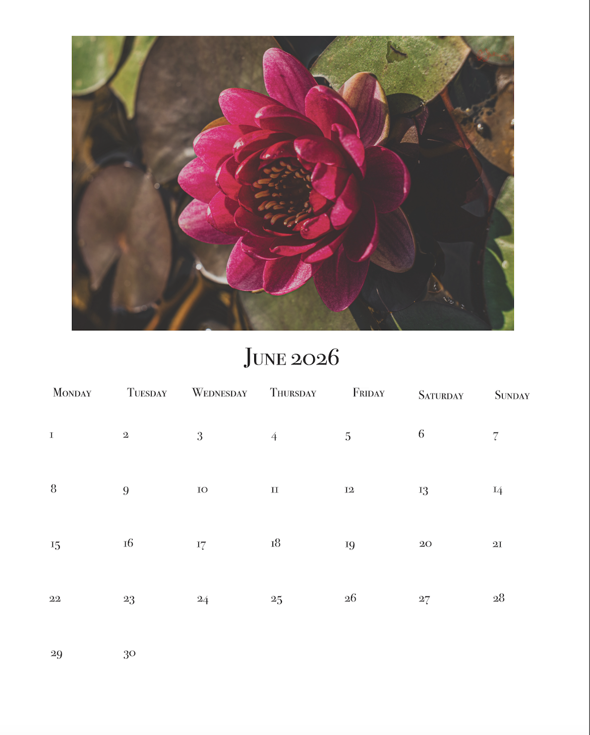 June.png
