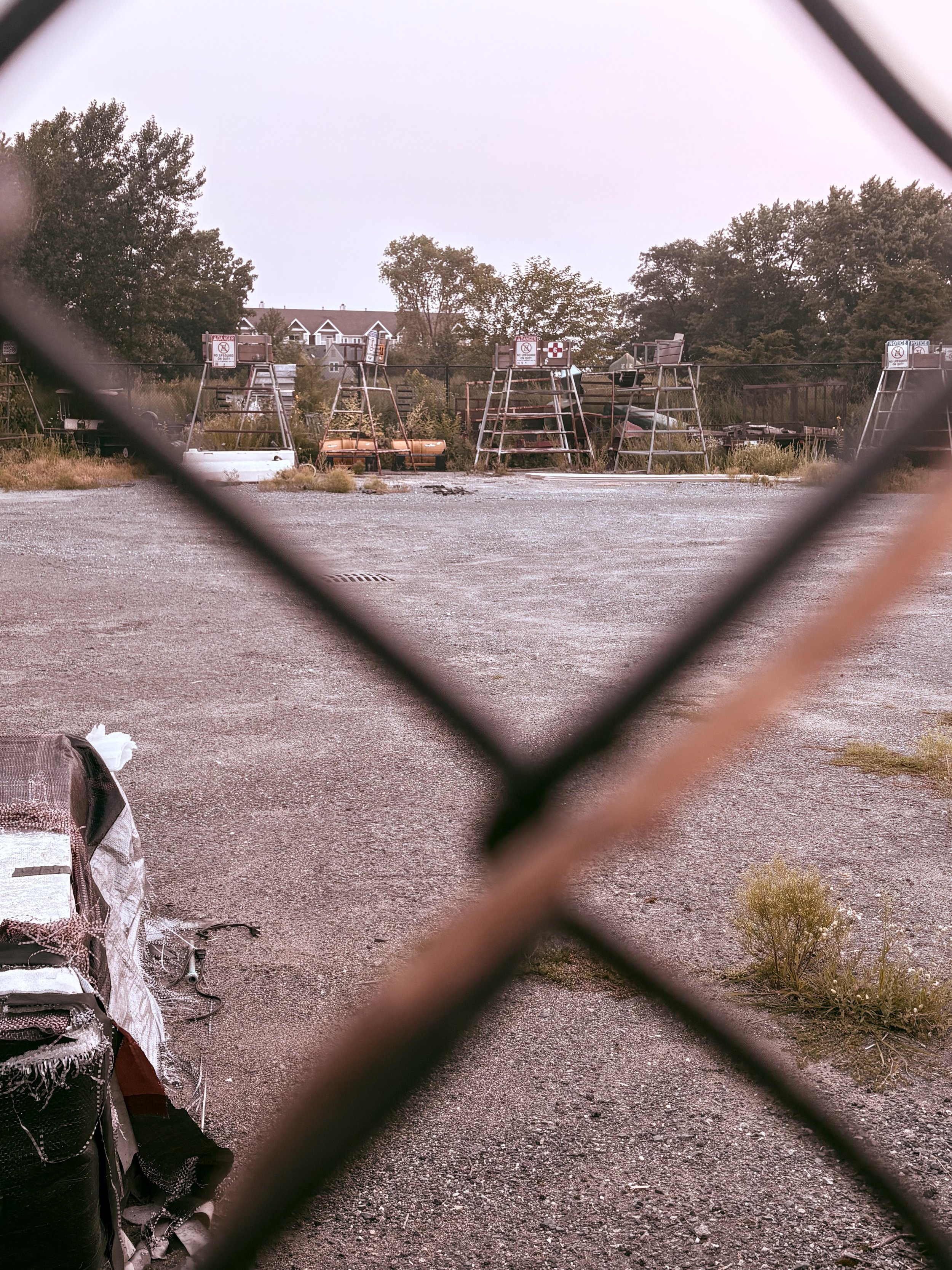 No Signs of Life (Collaborative Piece)