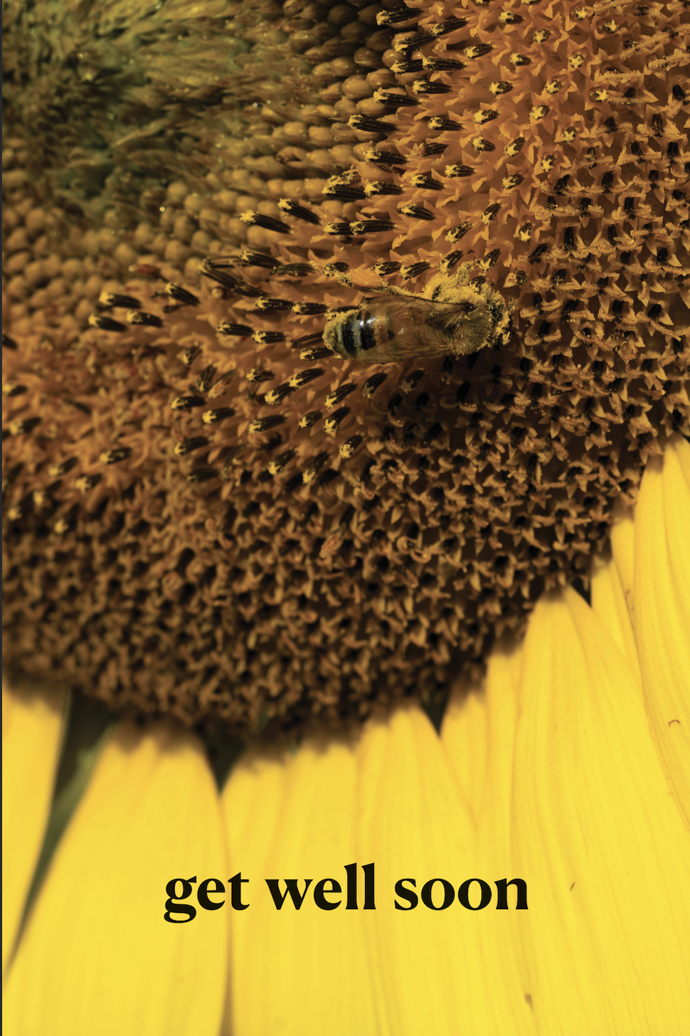 Screenshot 2026-01-15 at 3.45.59 PM.png