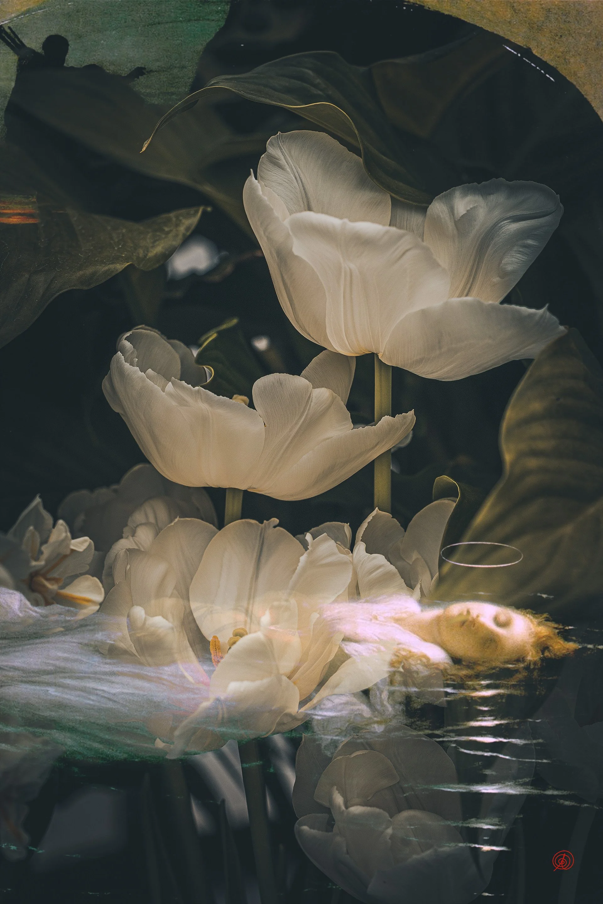 The Young Martyr Tulip Piece.jpg