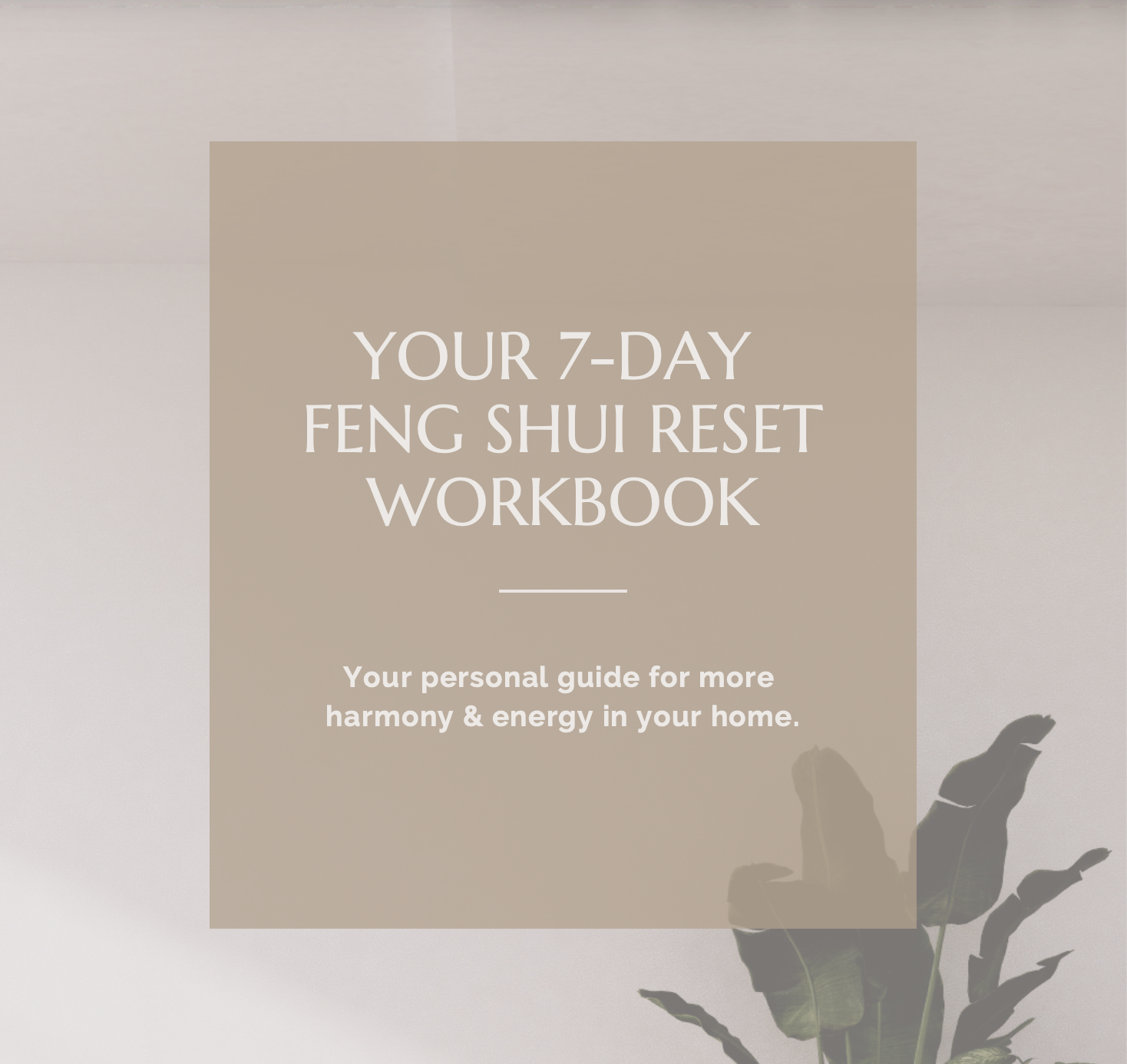 Bildschirmfoto 2025-12-21 um 14.51.51.png