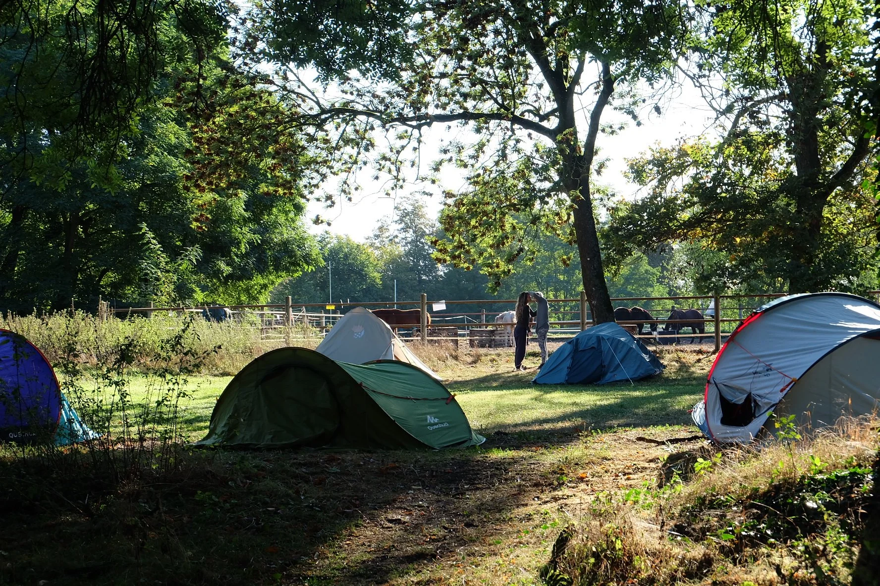 Sunü 2023 Oct 10.jpg