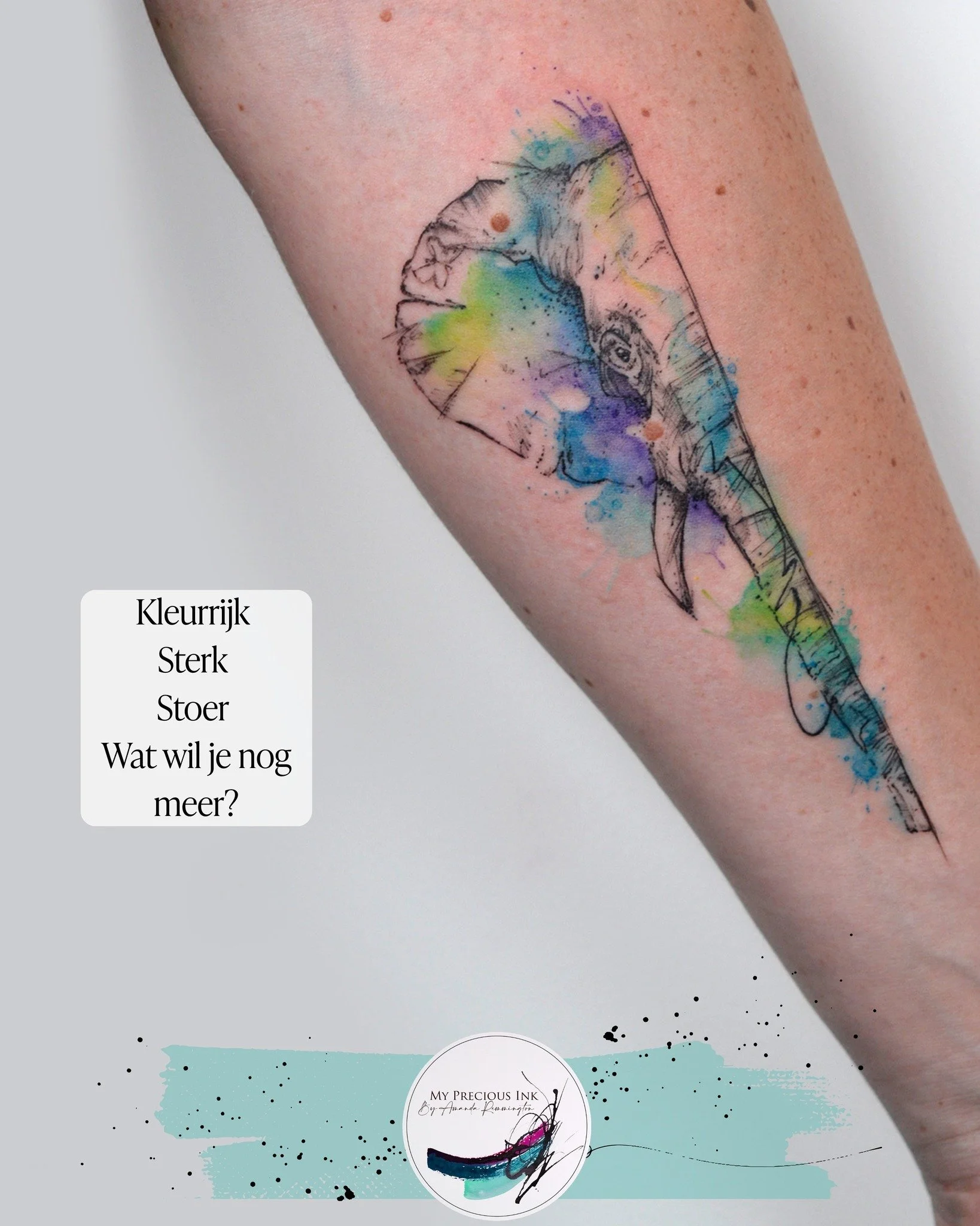 Deze tattoo schreeuwt niet.
Dat hoeft ook niet.
Kracht zit hier in,
Zoals een olifant zelf ook is . 

Zou jij een dier van de big 5 als tattoo willen ? 

My Precious Ink &ndash; Art that stays.
Arendonk (BE)
amanda@mypreciousink.nl
www.mypreciousink.