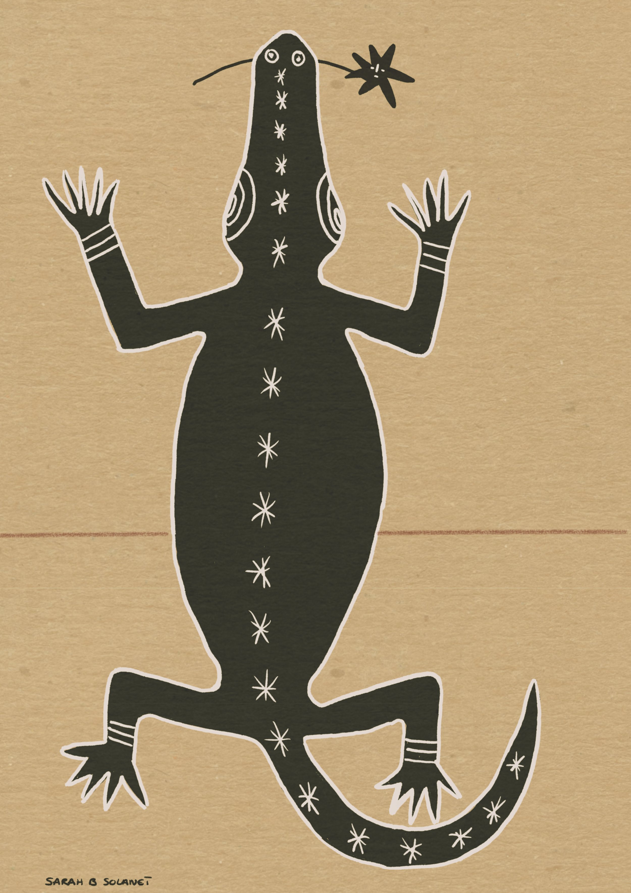 Croco.jpg
