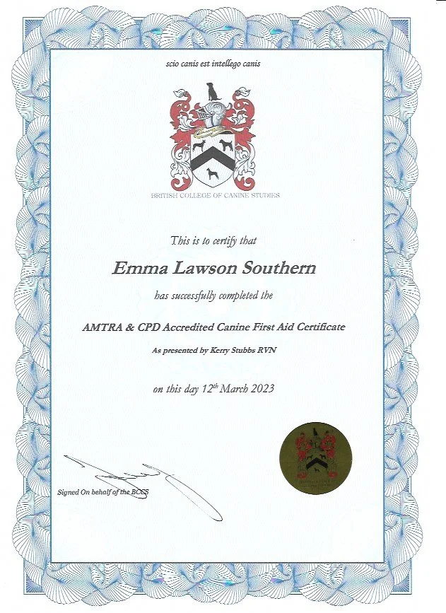 Canine First Aid Accredited