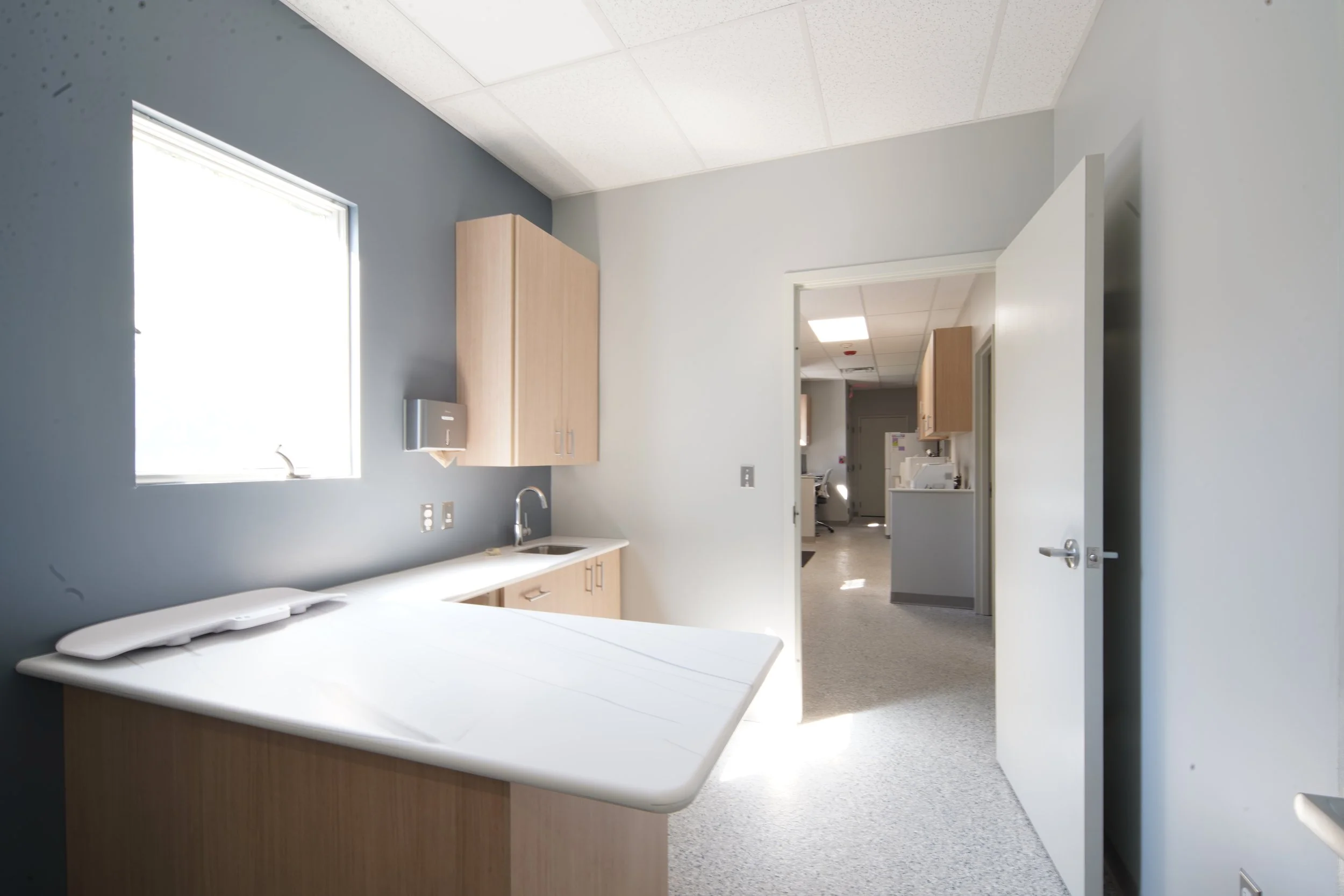 Vet-Dentistry-Treatment-Room-by-Key-Construction.JPG