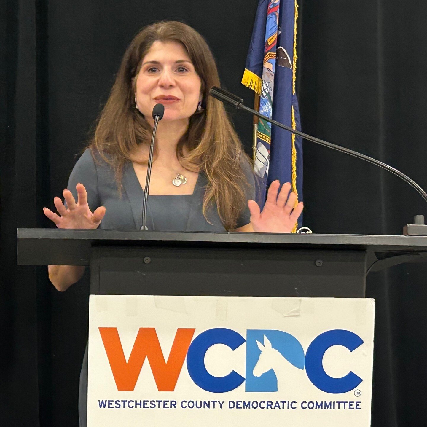 We are so humbled to receive the support of the Westchester County Democratic Committee at this week's Convention! Thank you to the Chairs and District Leaders for nominating us as one of the 3 Family Court candidates!

Be a part of our campaign here