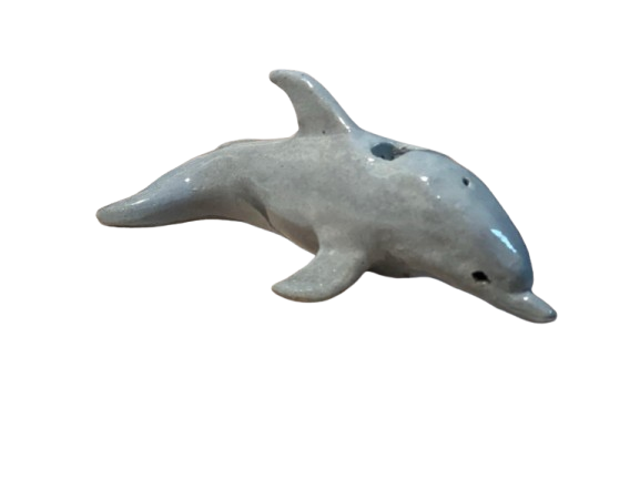 Dolphin Whistle- Ella T.png