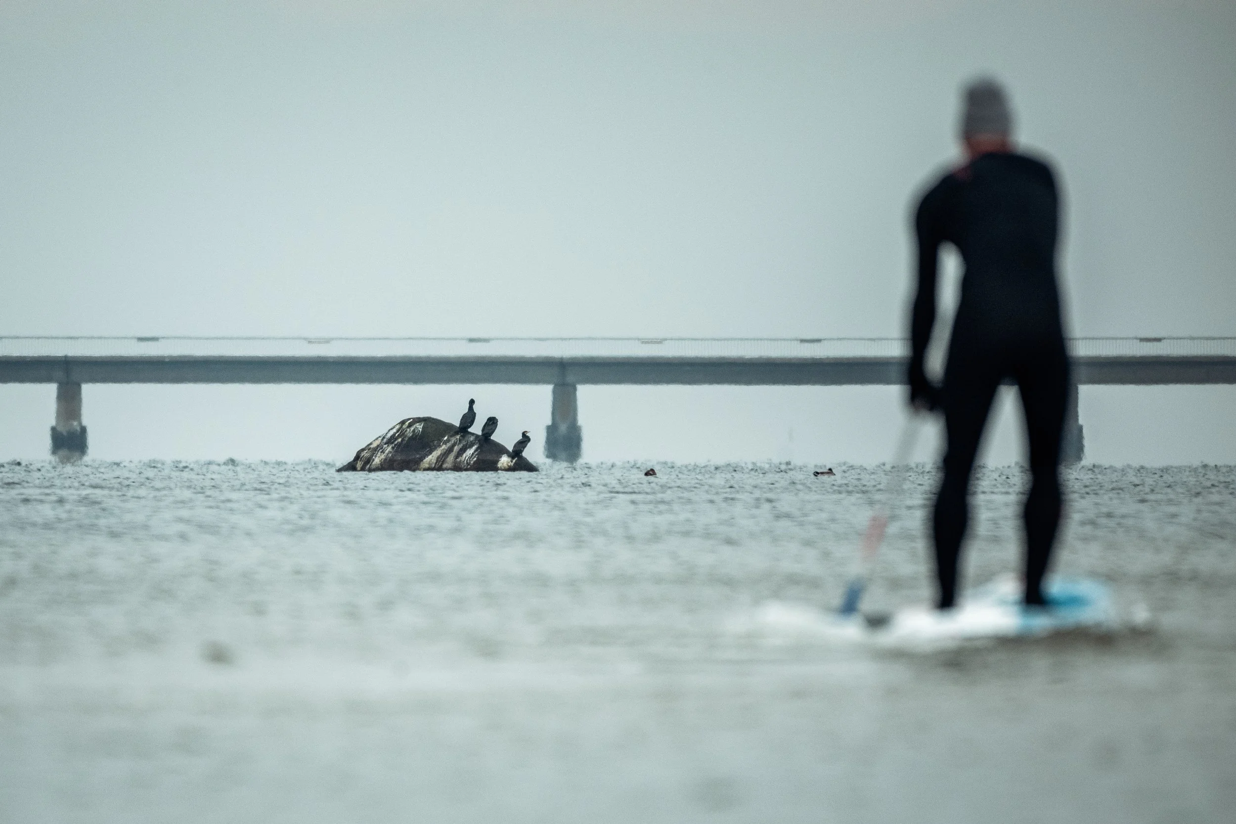 Winter SUP Michael Walter (40 von 80).jpg