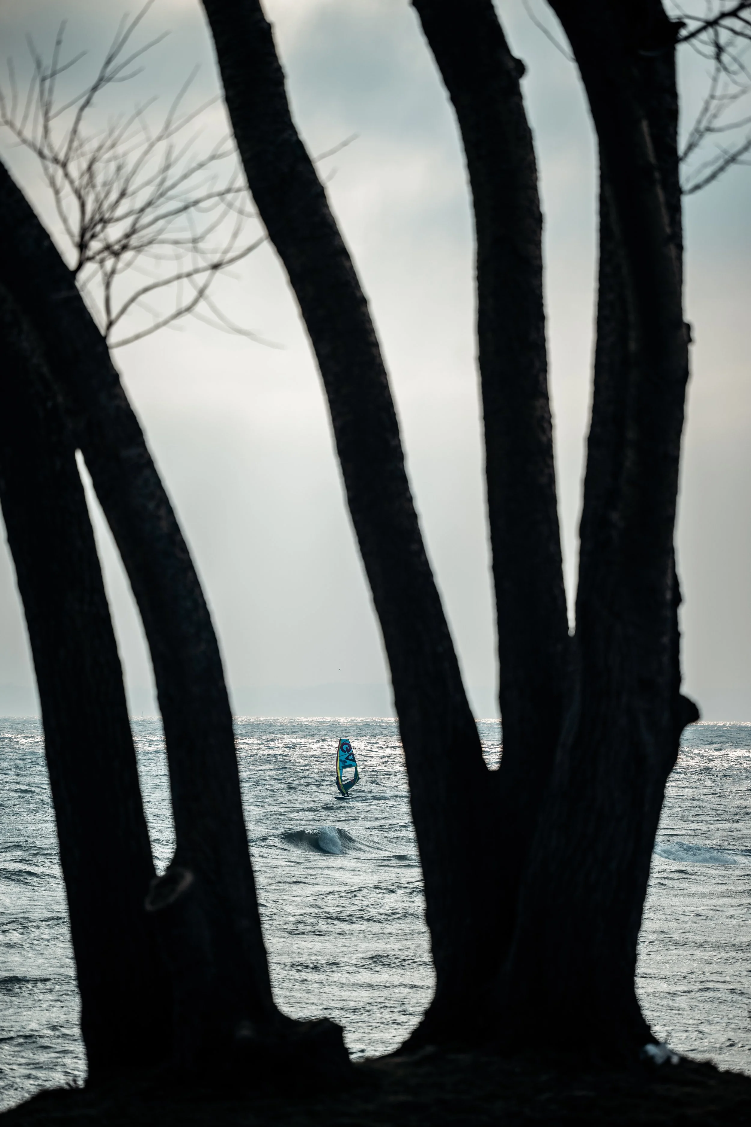 Guxi Windsurf Winter Session (31 von 129).jpg