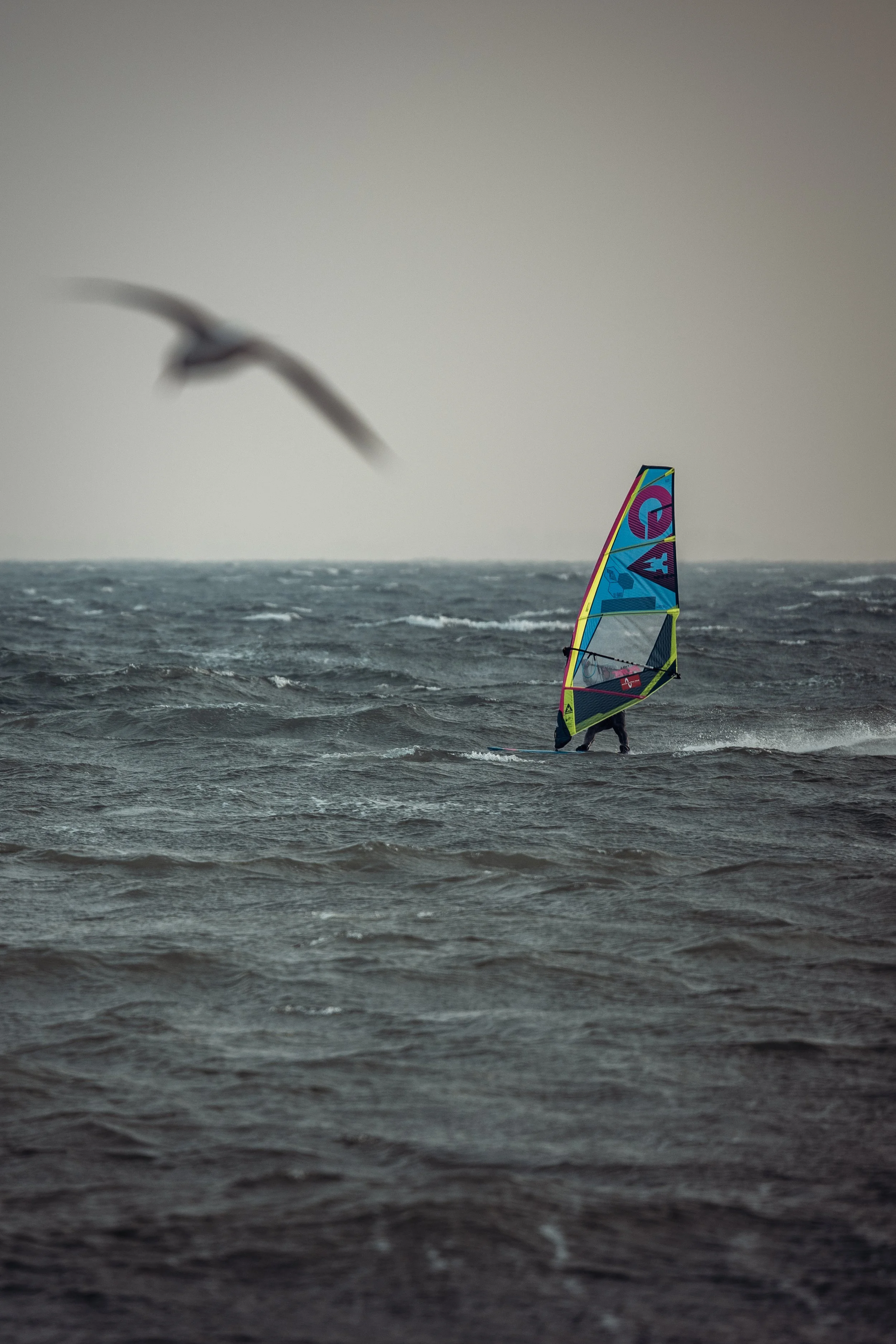 Guxi Windsurf Winter Session (35 von 129).jpg
