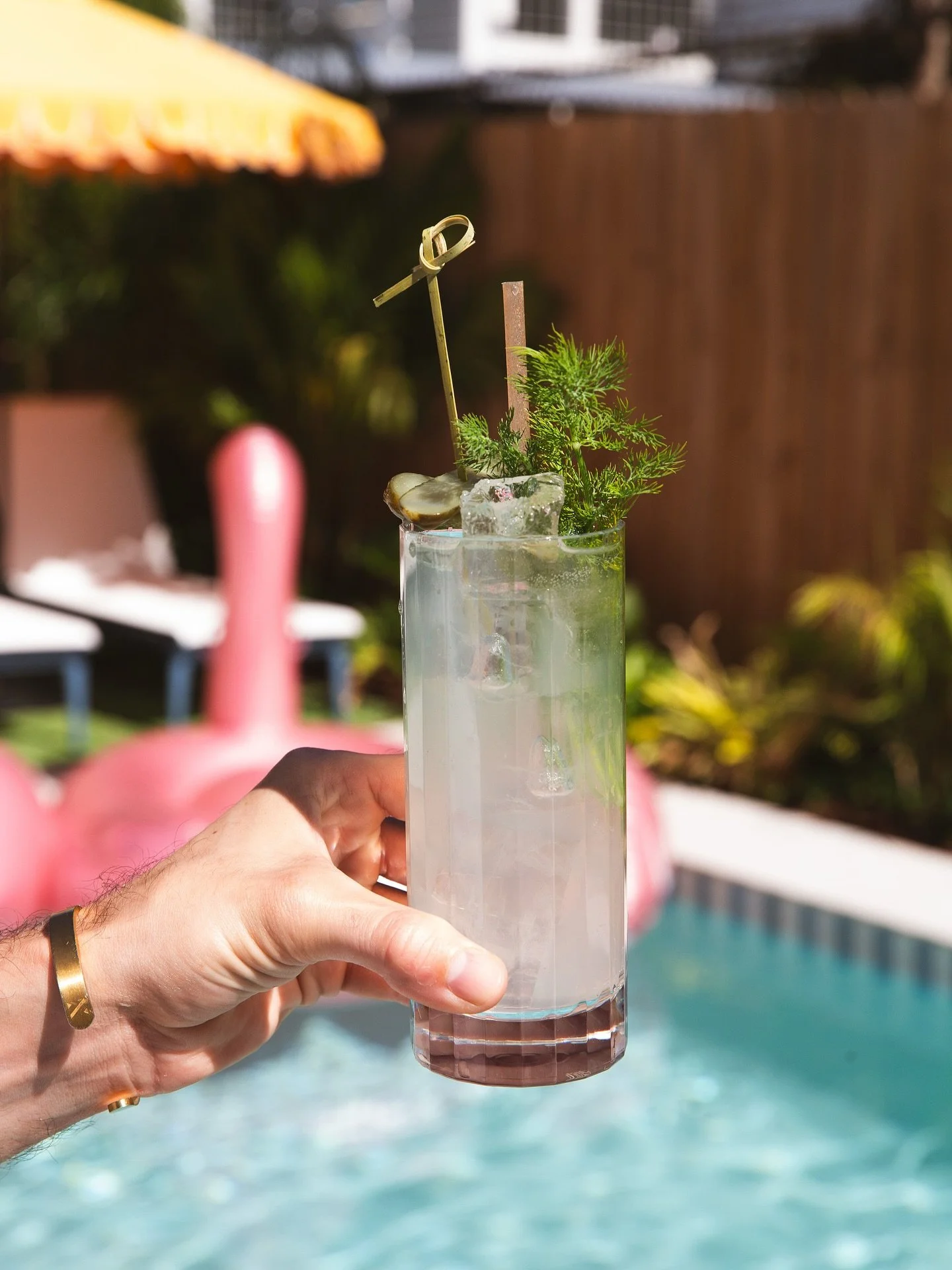 Kind of a BIG DILL 🥒 Norden Aquavit, lime, sugar, pickle brine, and sparkling water. Bright, briny and easy to love on an 80 degree November day!