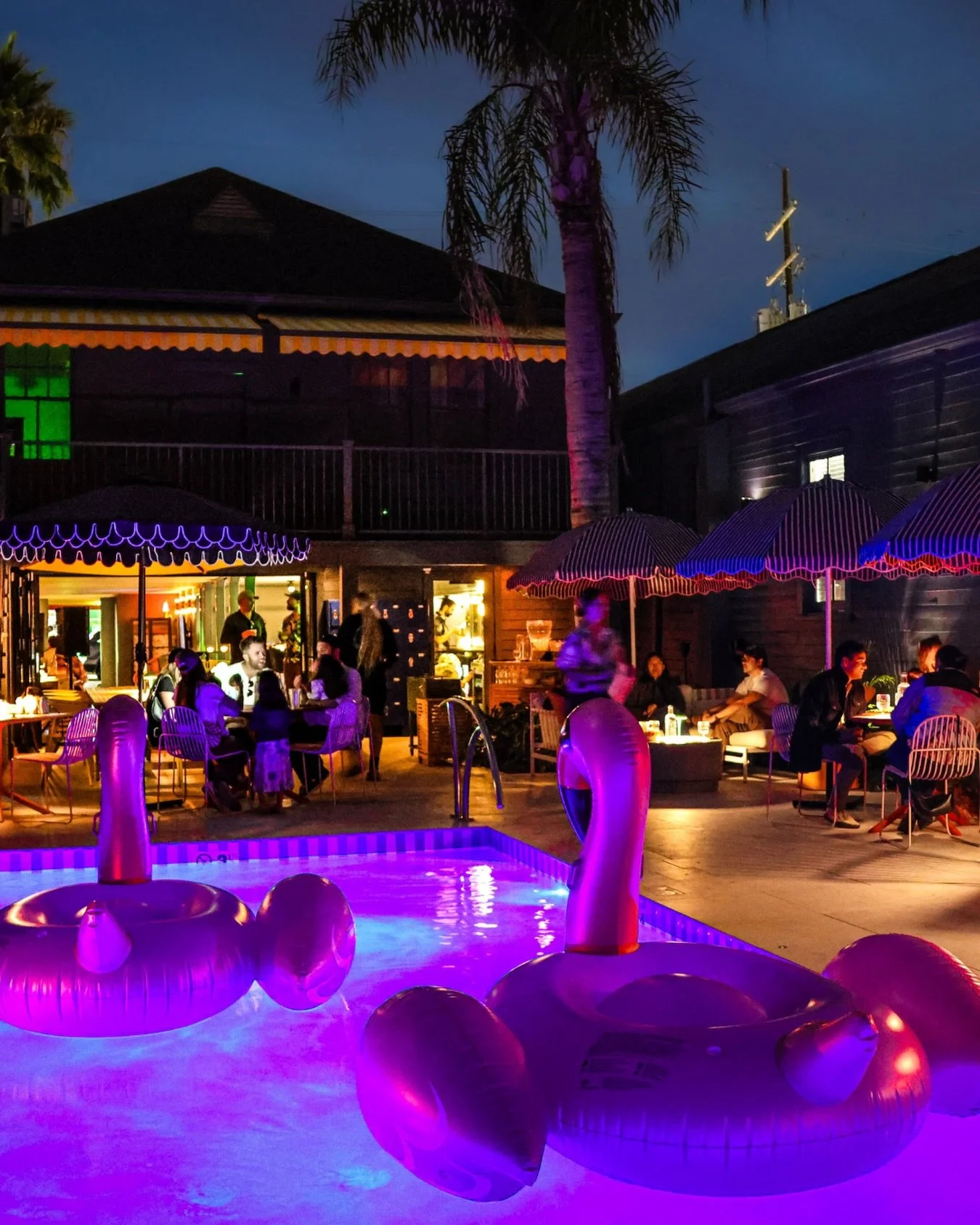 Night time is the right time. We&rsquo;re open til 10pm. Come enjoy the vibes.⁠
⁠
📷️ @ash.ventures