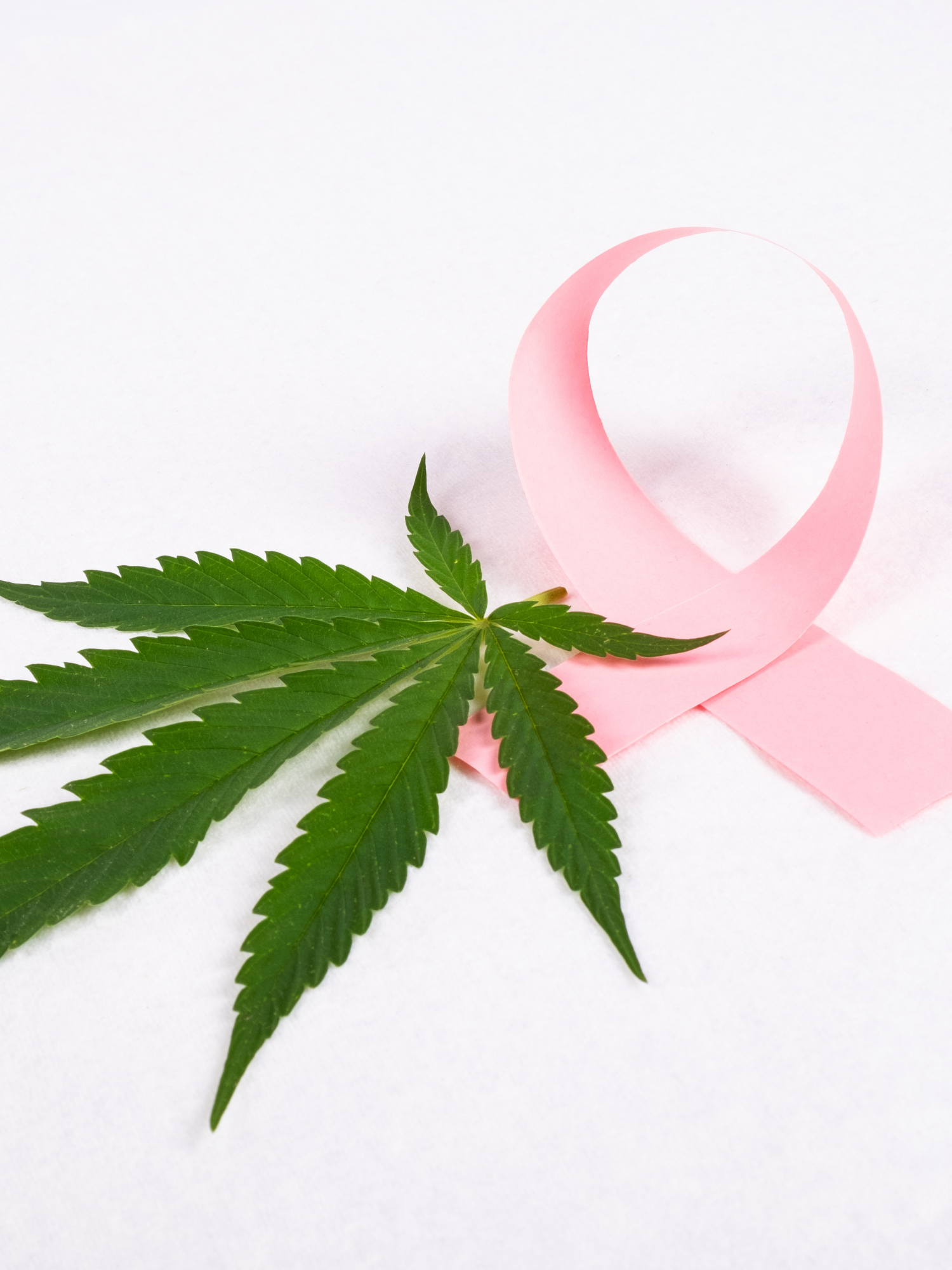 Cannabis, Cancer, and What the Science Actually Says