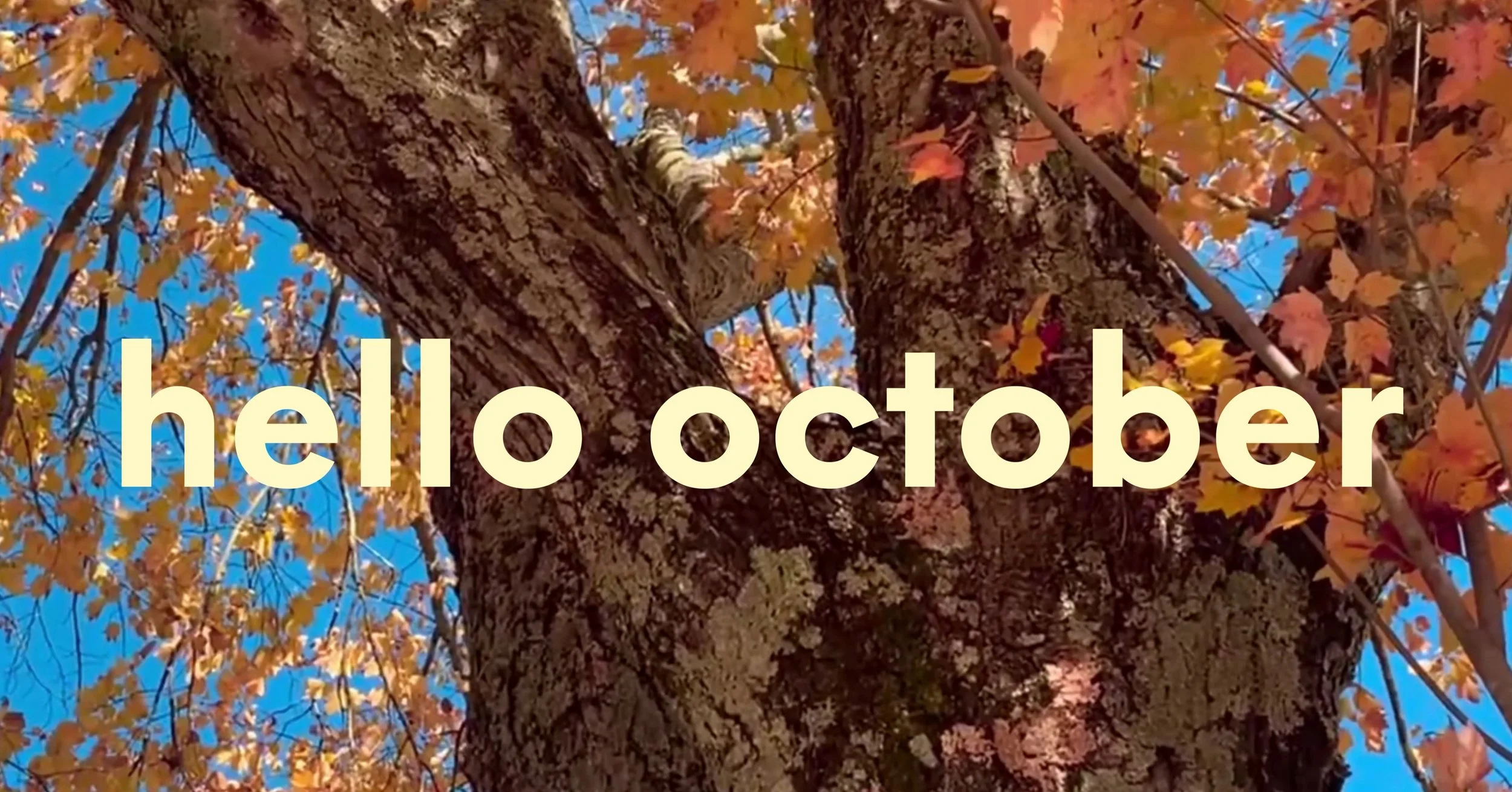 &lsquo;ber months !!!