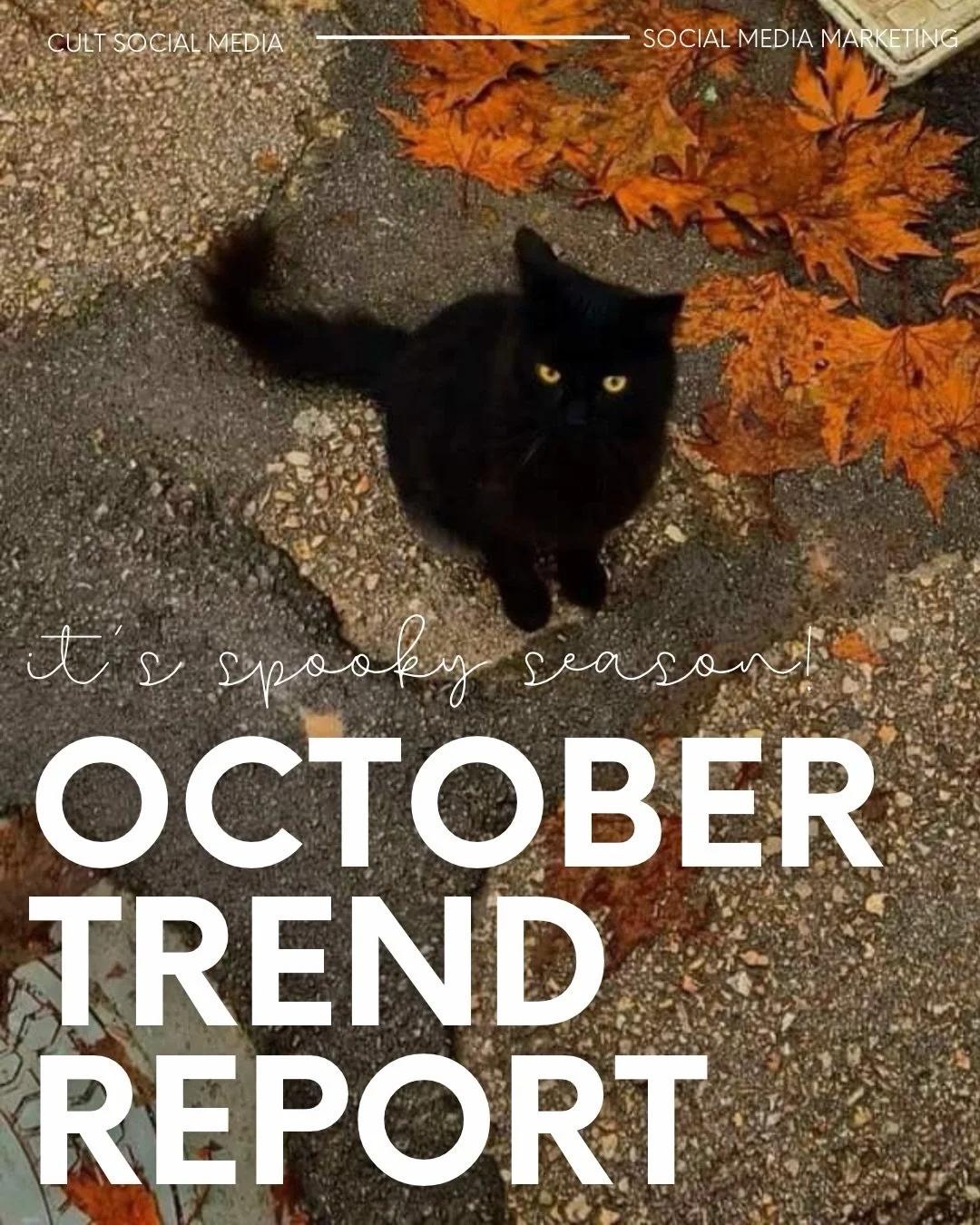 You know what&rsquo;s scary? Letting another month go by without posting on your business&rsquo; socials. 

We KNOW it&rsquo;s hard to keep up, and we KNOW you don&rsquo;t have the time, and we KNOW you don&rsquo;t like getting in front of the camera
