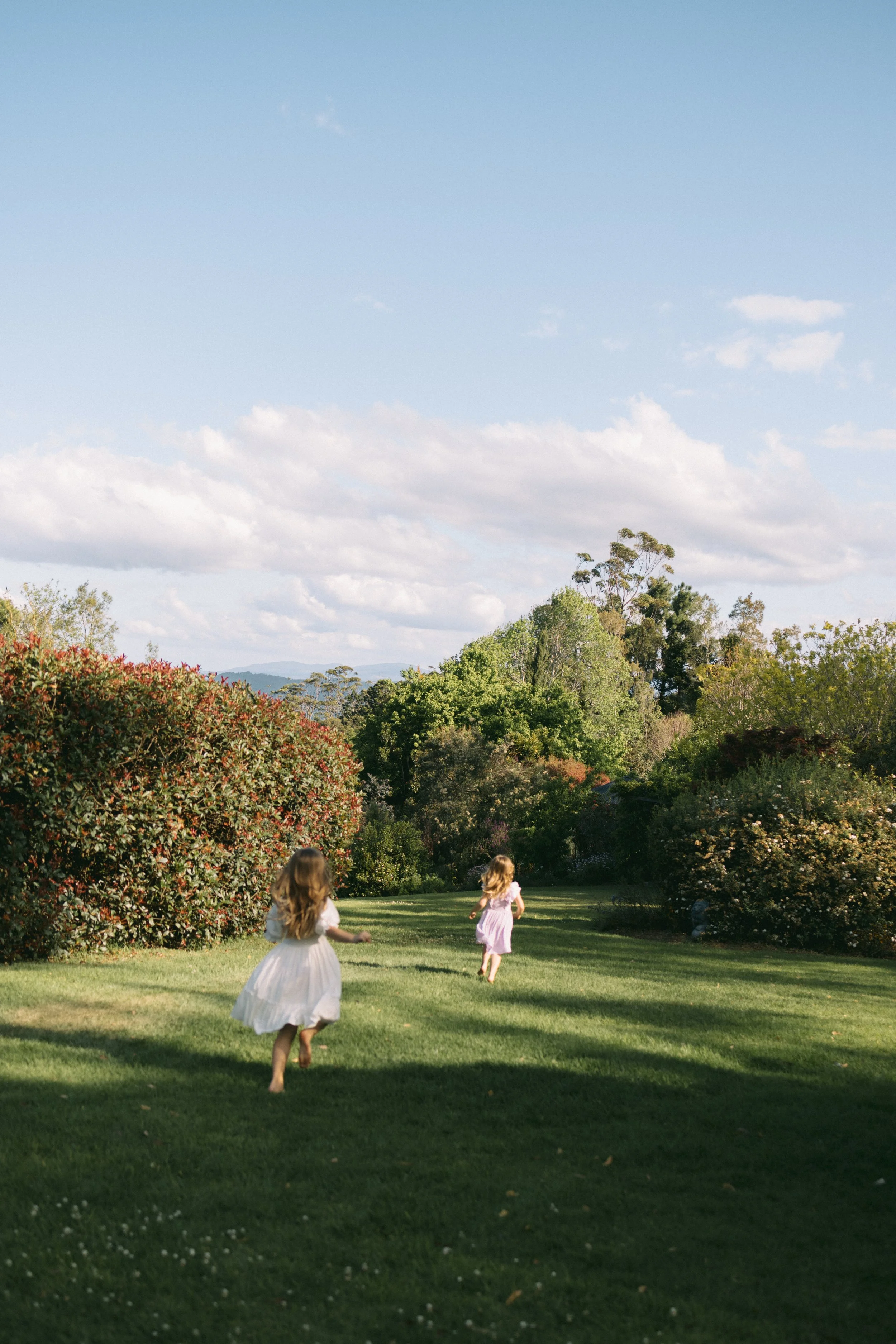 Flower farm ~ Bec Zacher Photo & Films-4.jpg